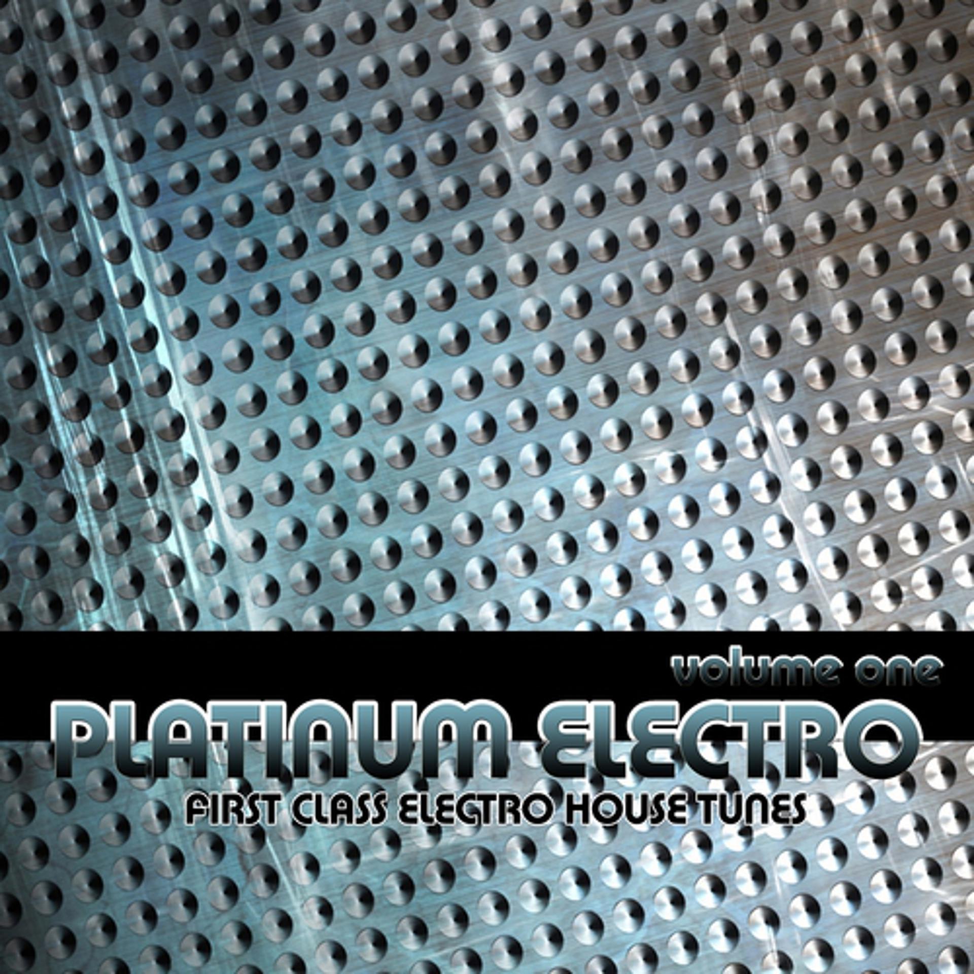 Постер альбома Platinum Electro Volume 1