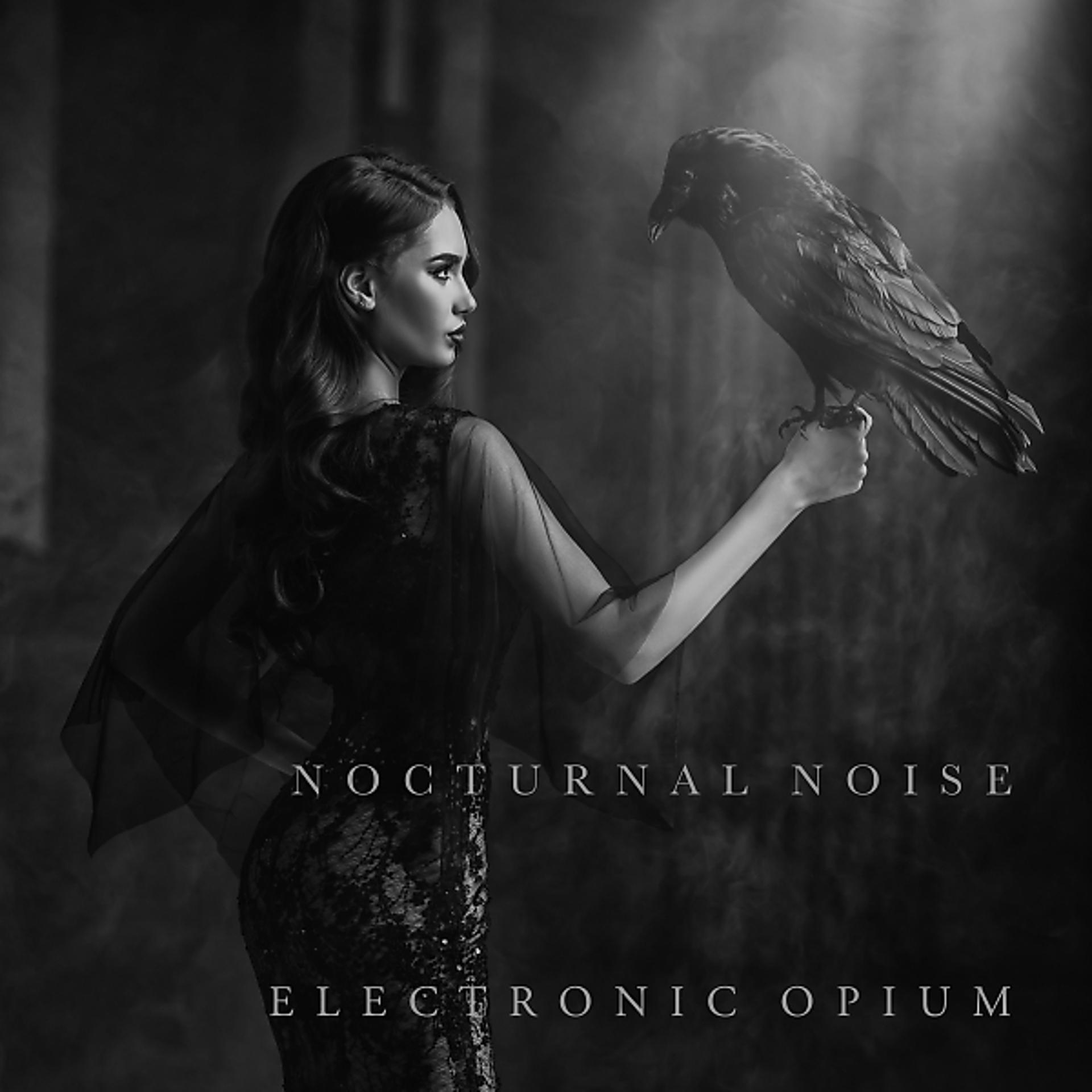 Постер альбома Nocturnal Noise (feat. Octavian Boca)