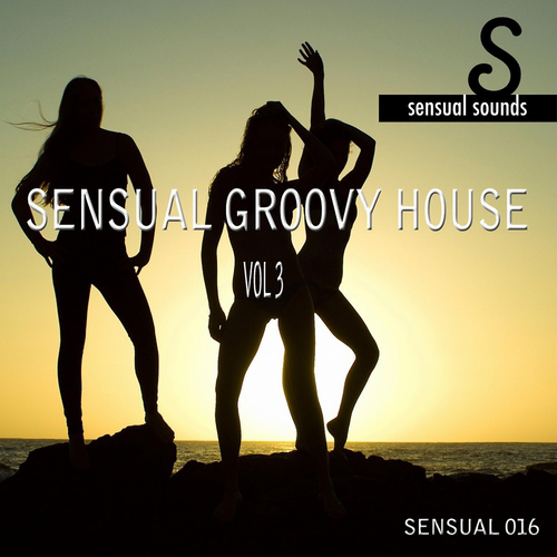 Постер альбома Sensual Groovy House, Vol. 3