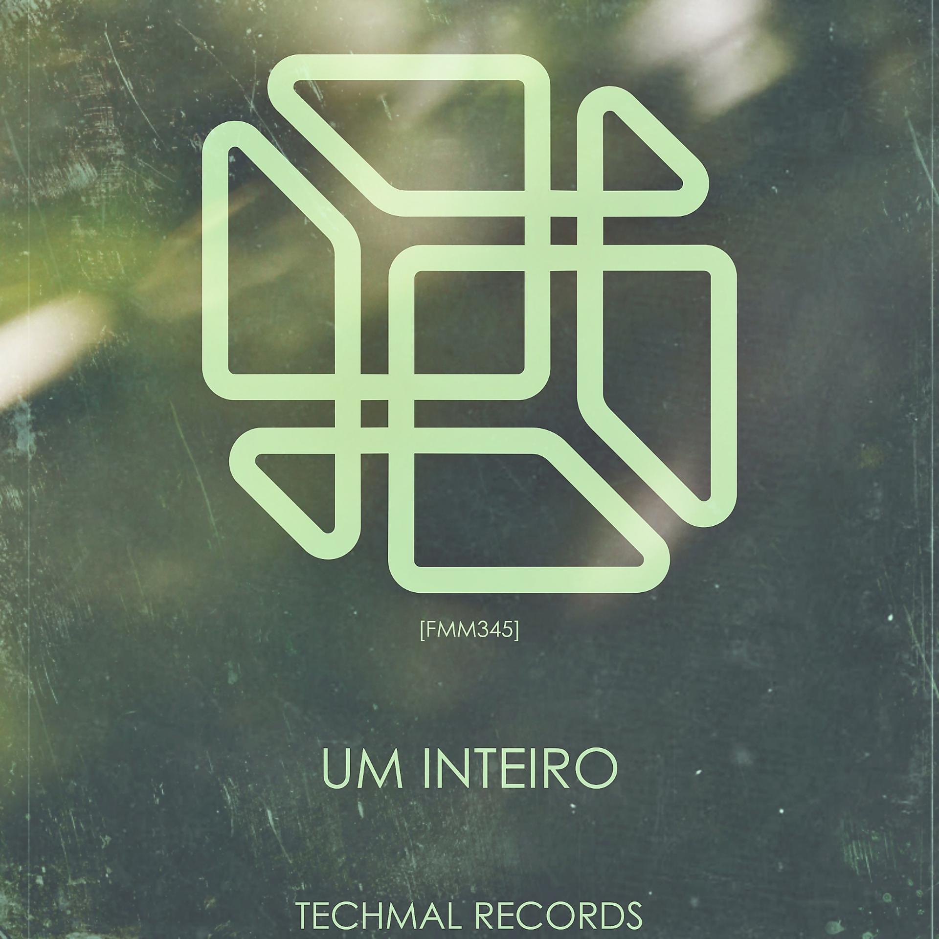 Постер альбома Um Inteiro