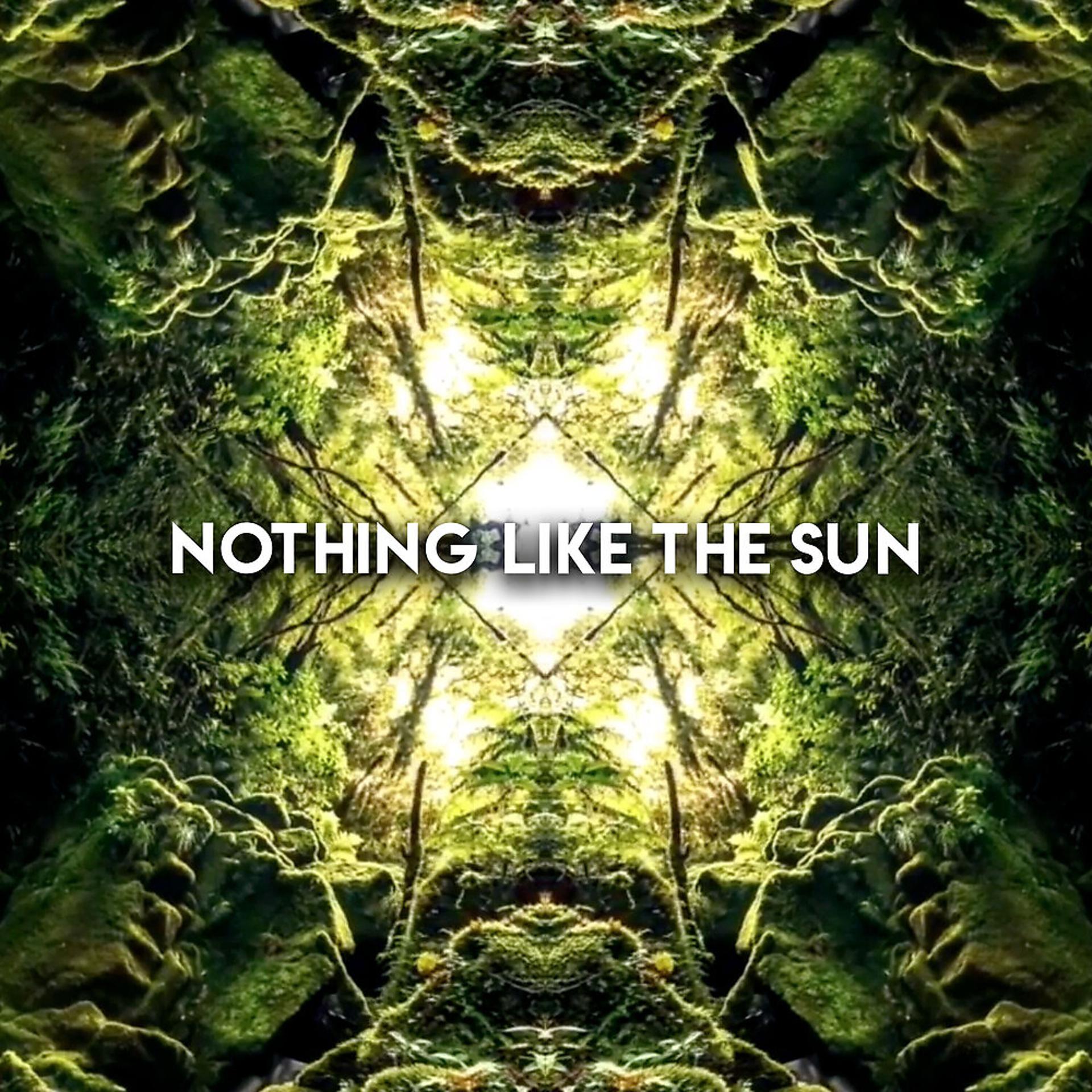 Постер альбома Nothing Like The Sun