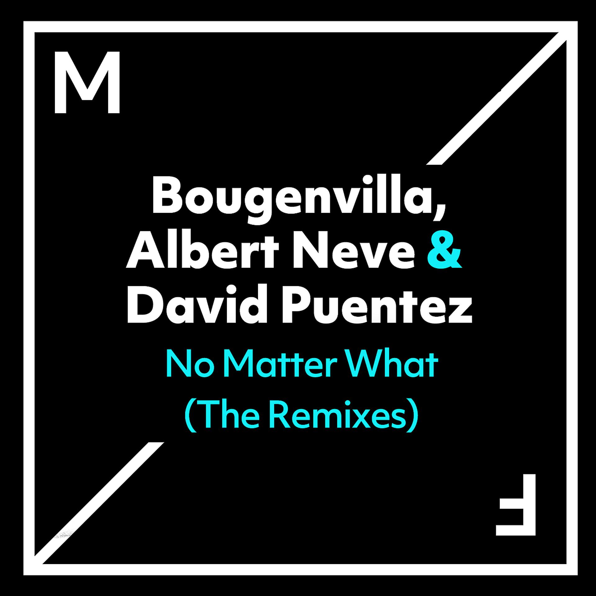 Постер альбома No Matter What (The Remixes)