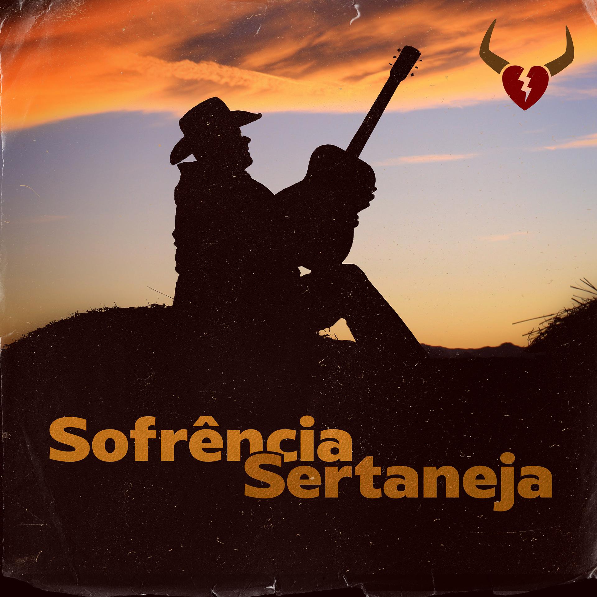 Постер альбома Sofrência Sertaneja (ao Vivo)