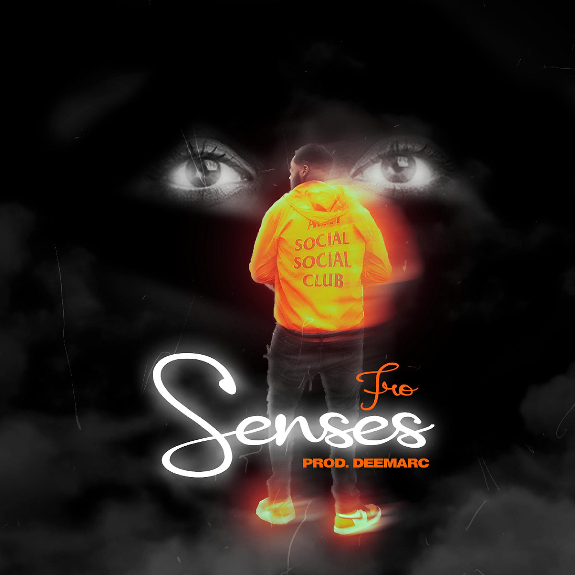 Постер альбома Senses