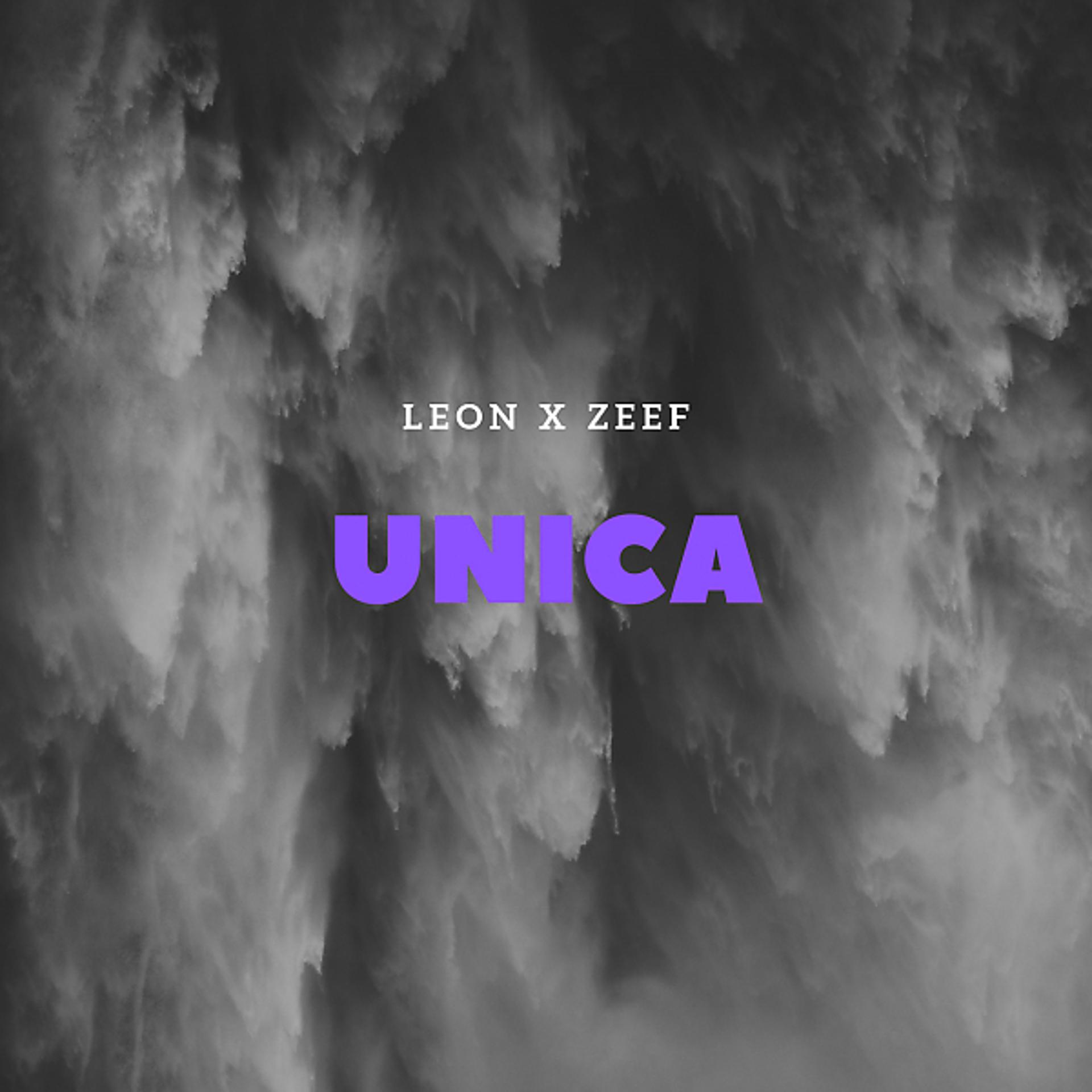 Постер альбома Única (feat. Zeef)