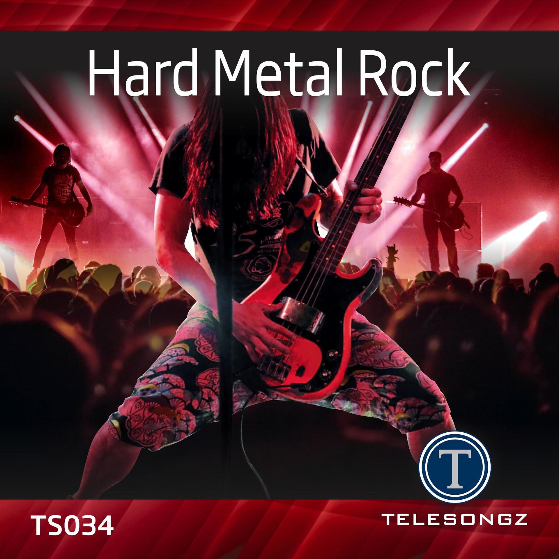 Постер альбома Hard Metal Rock
