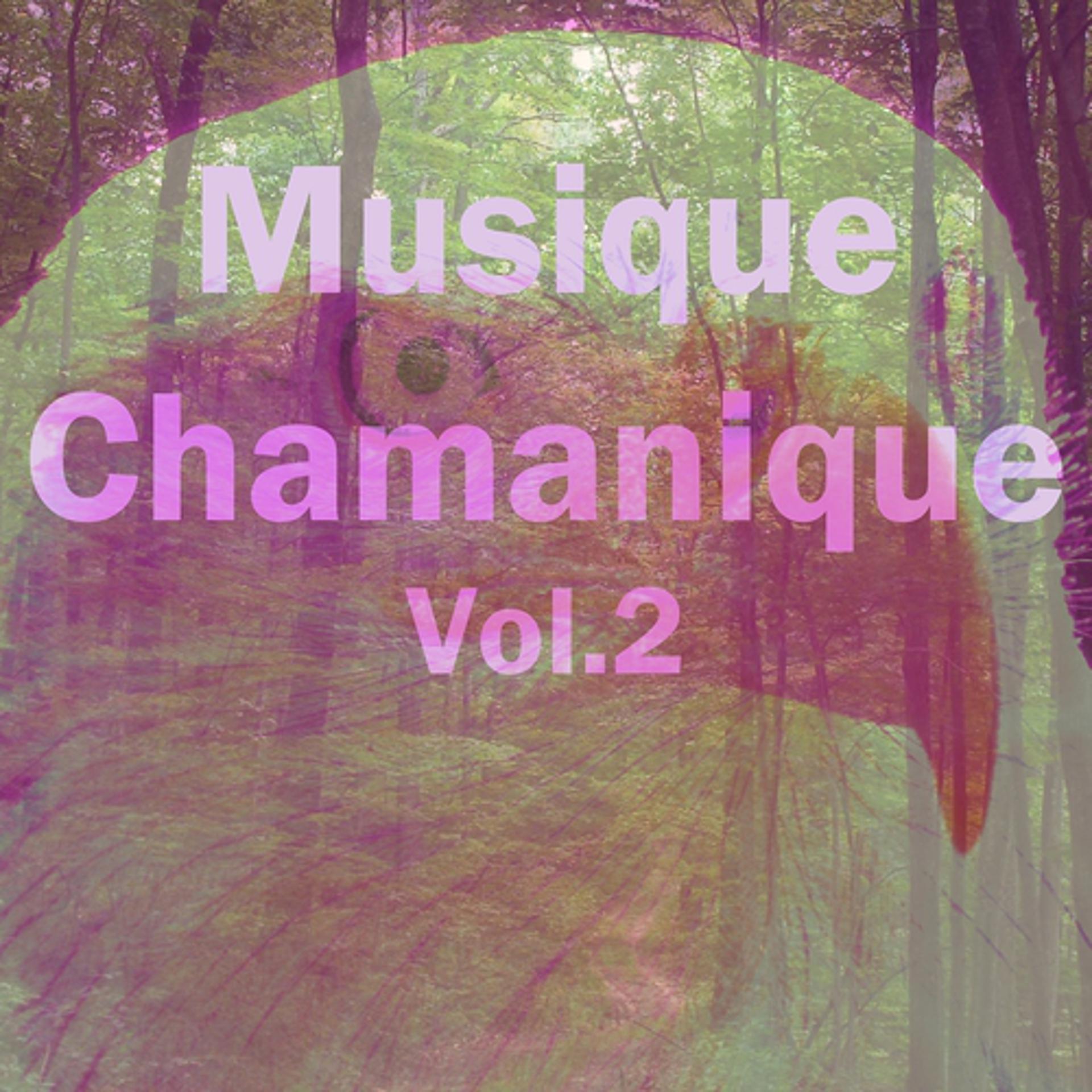 Постер альбома Musique chamanique, vol. 2