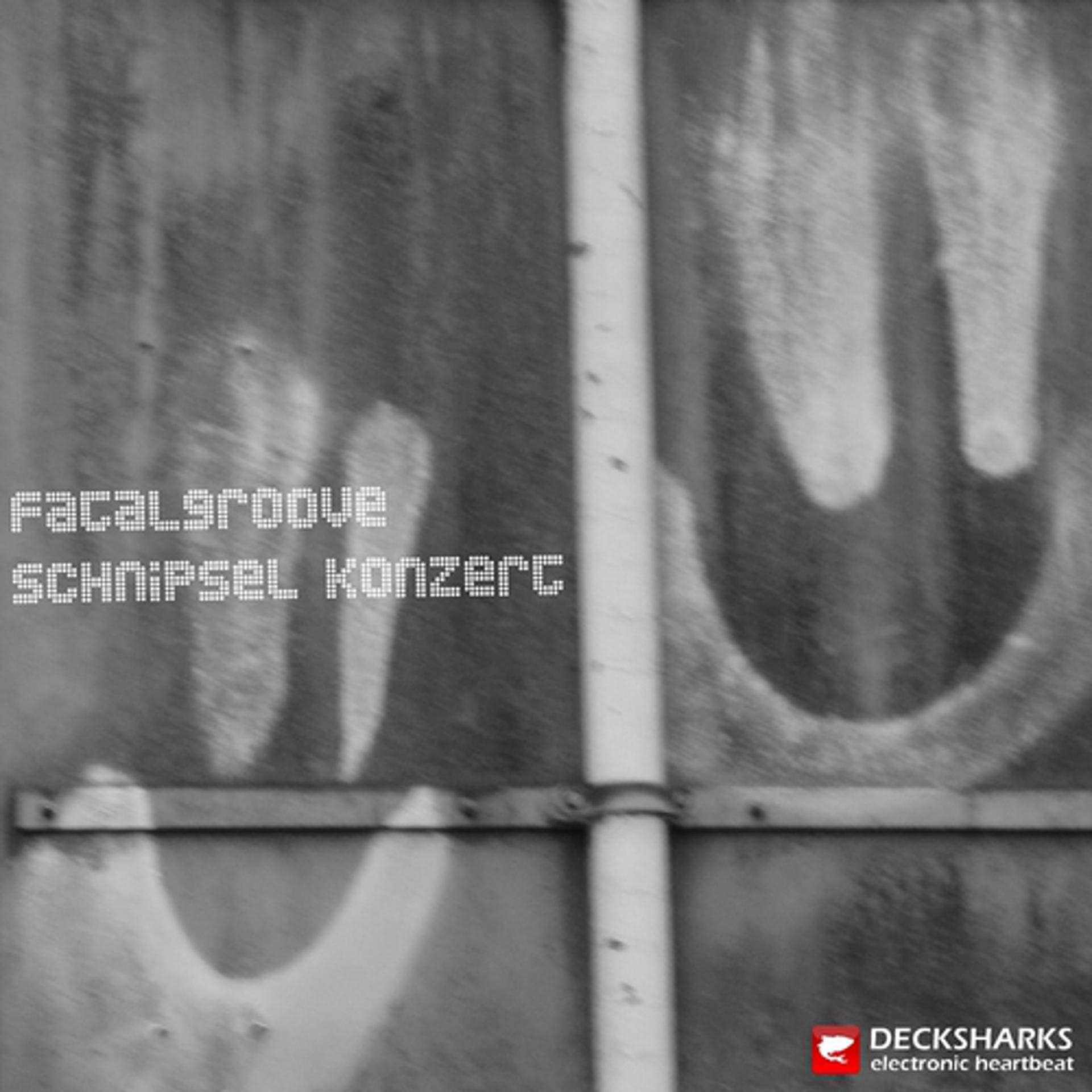 Постер альбома Schnipsel Konzert