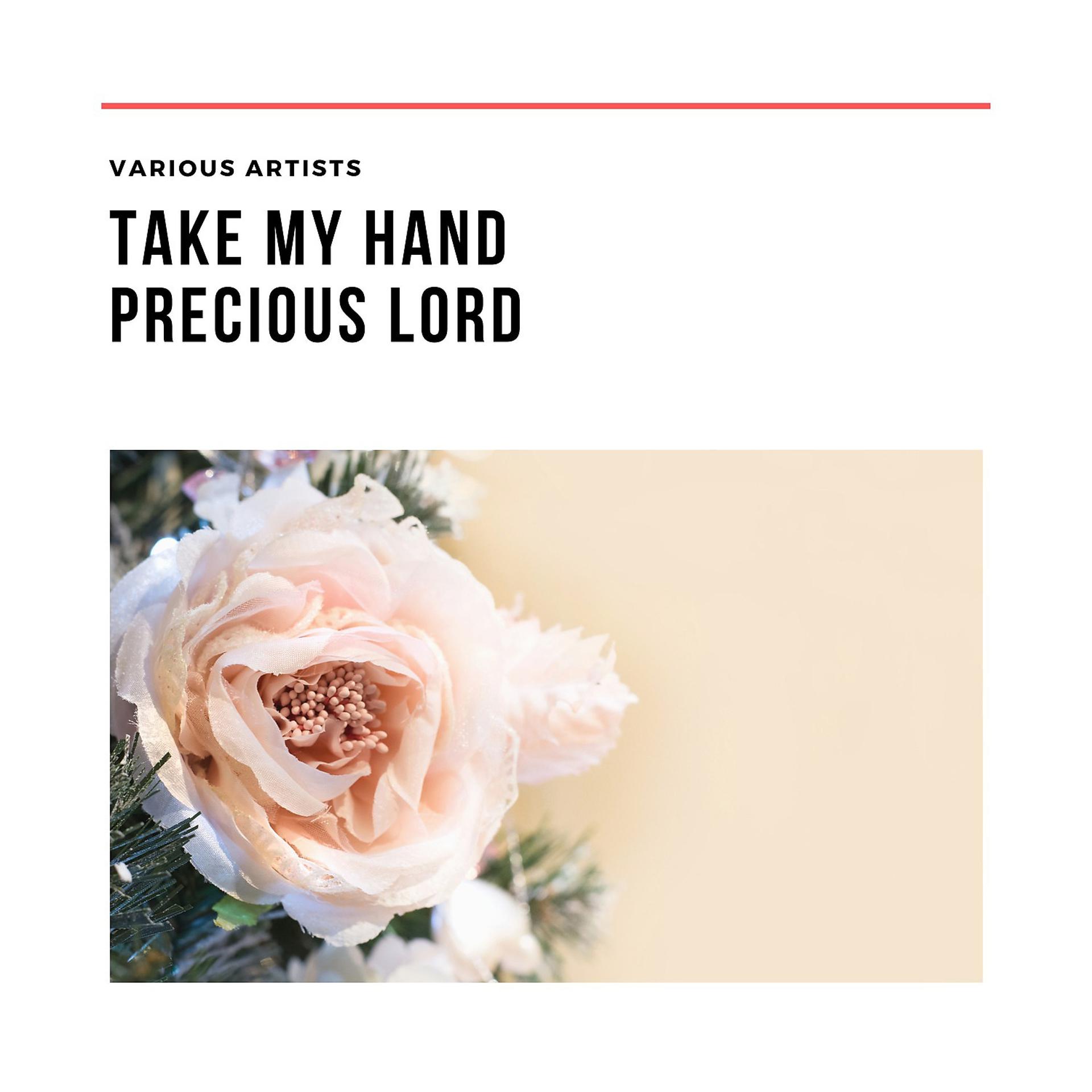 Постер альбома Take My Hand Precious Lord