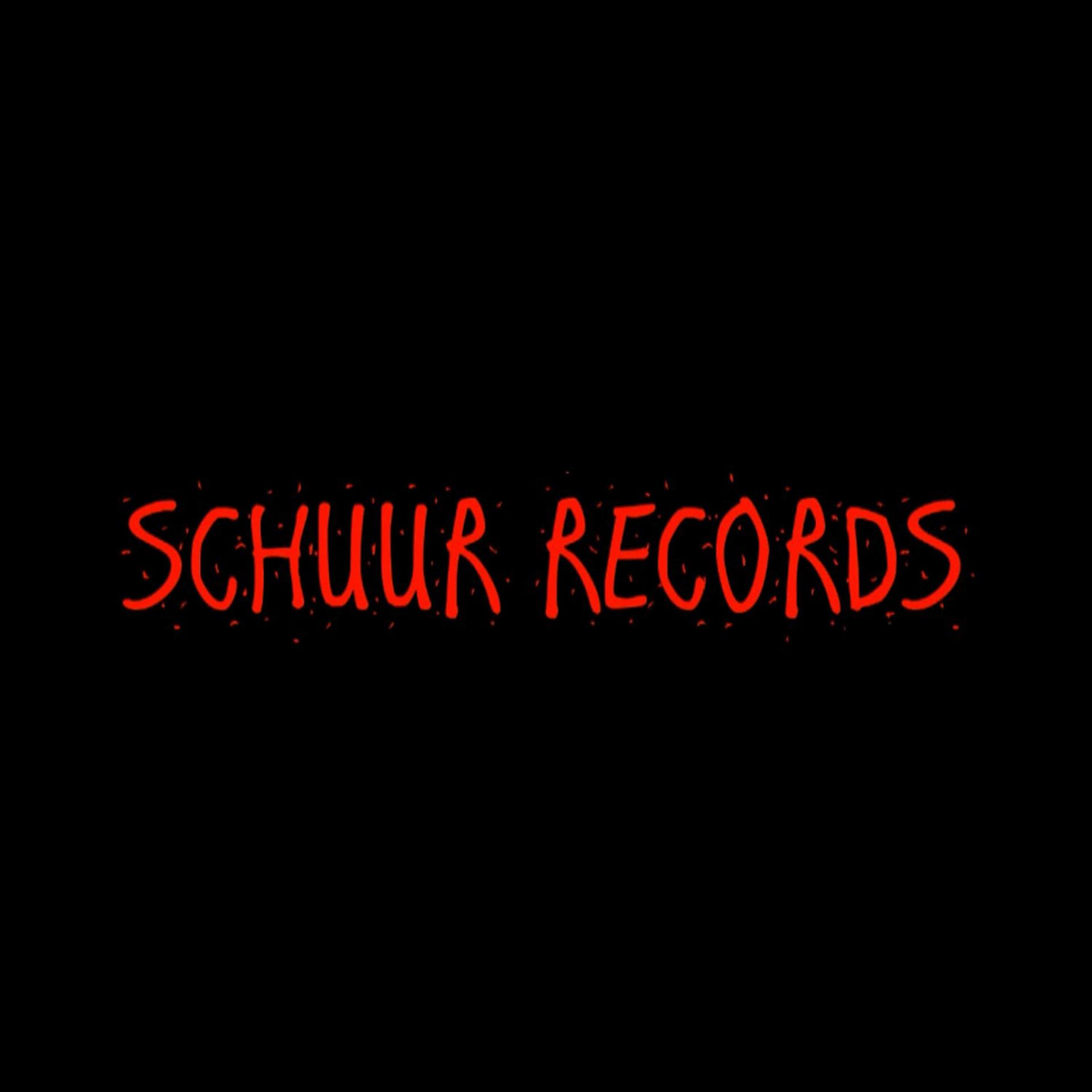 Постер альбома Schuur Records