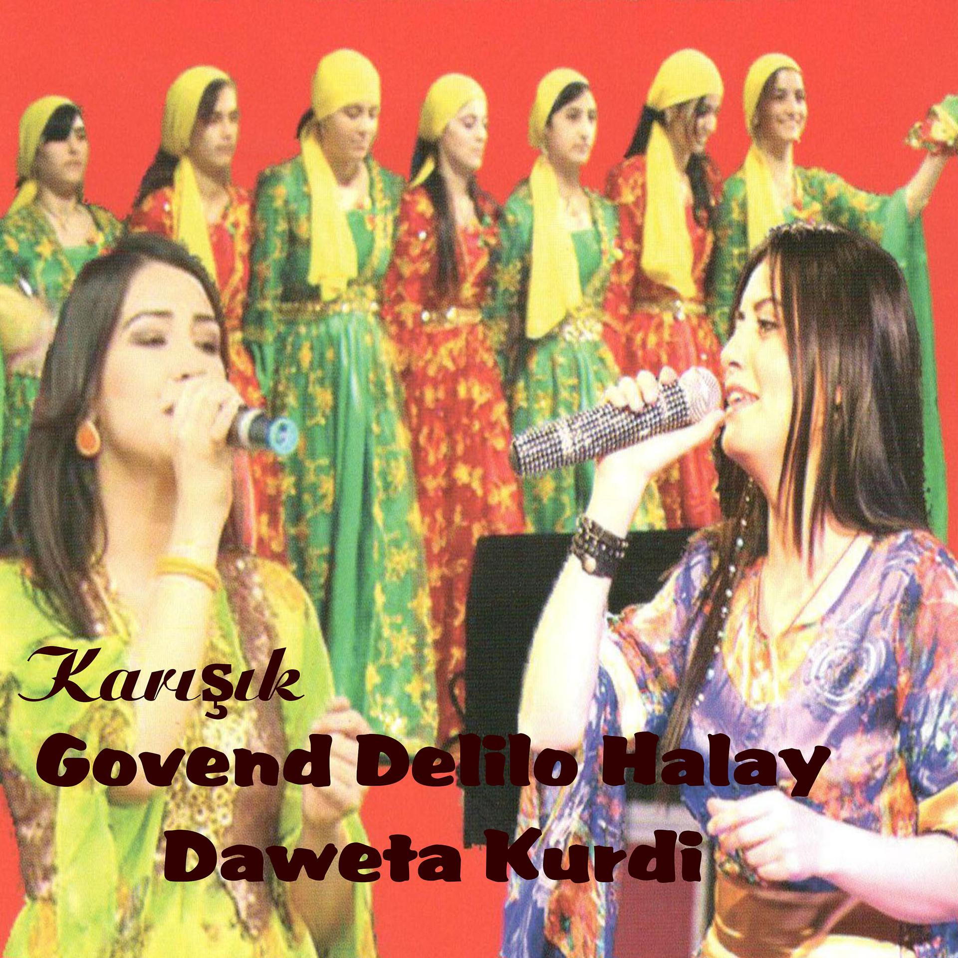 Постер альбома Karışık Govend Delilo Halay / Daweta Kurdi