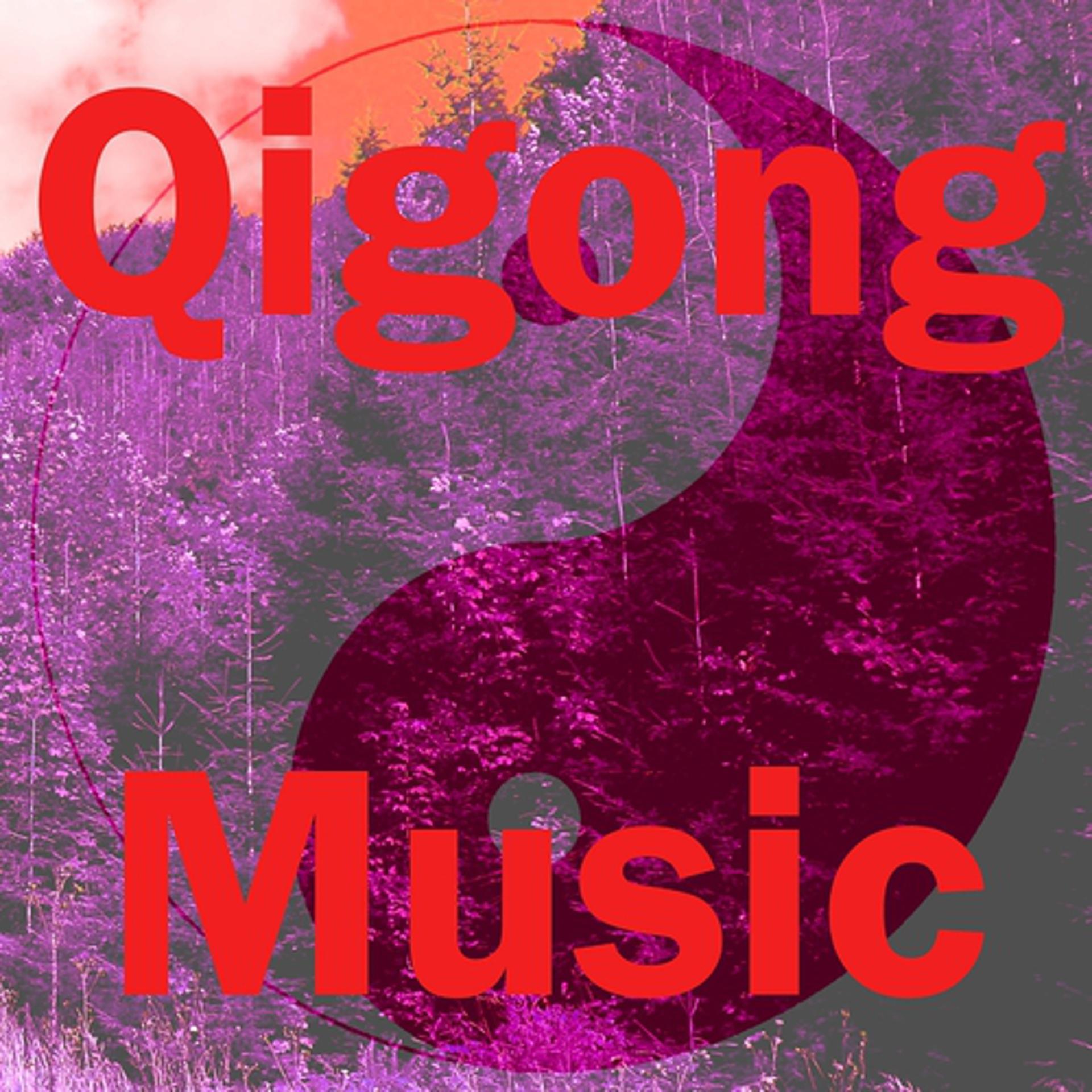 Постер альбома Qigong Music