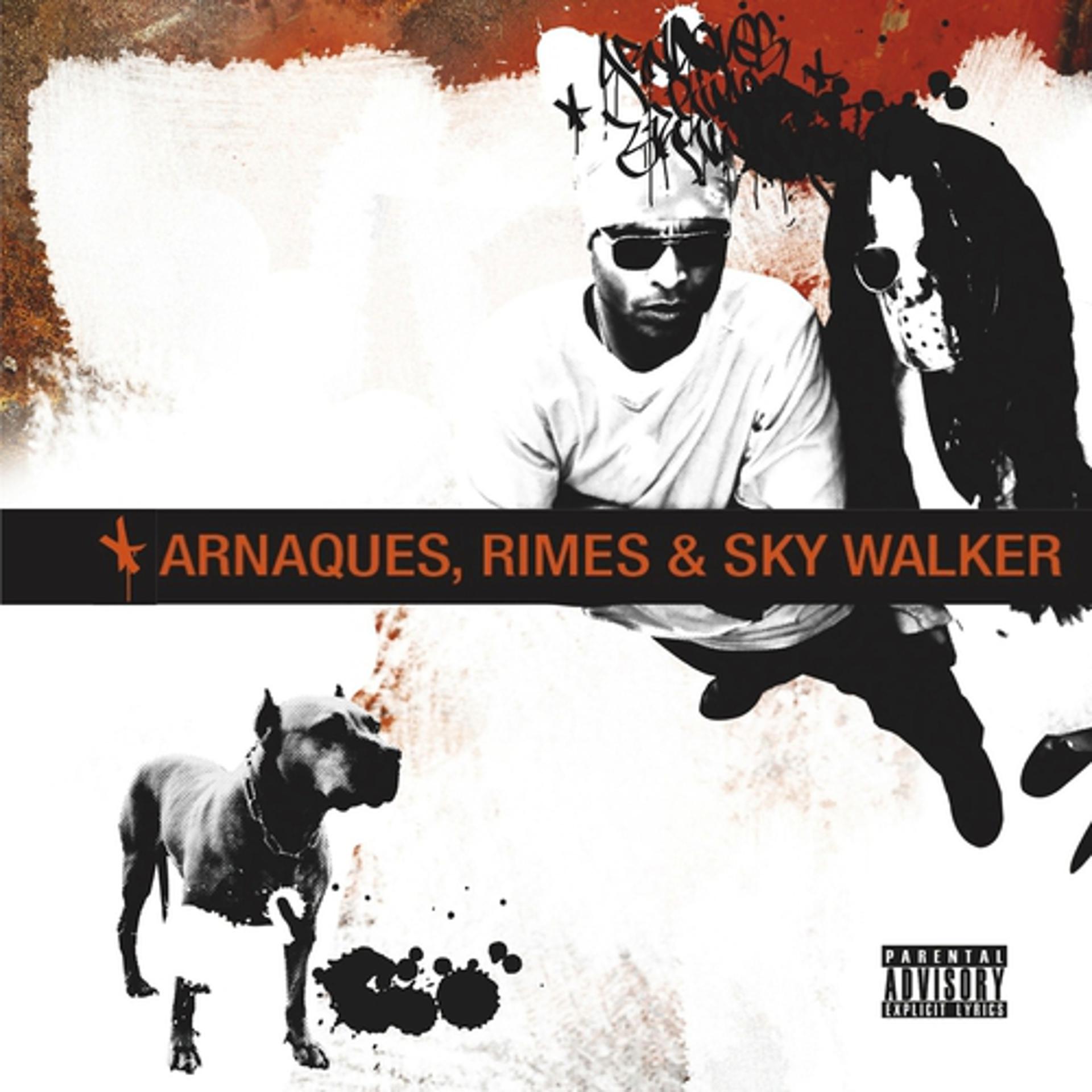 Постер альбома Arnaques, rimes, sky Walker