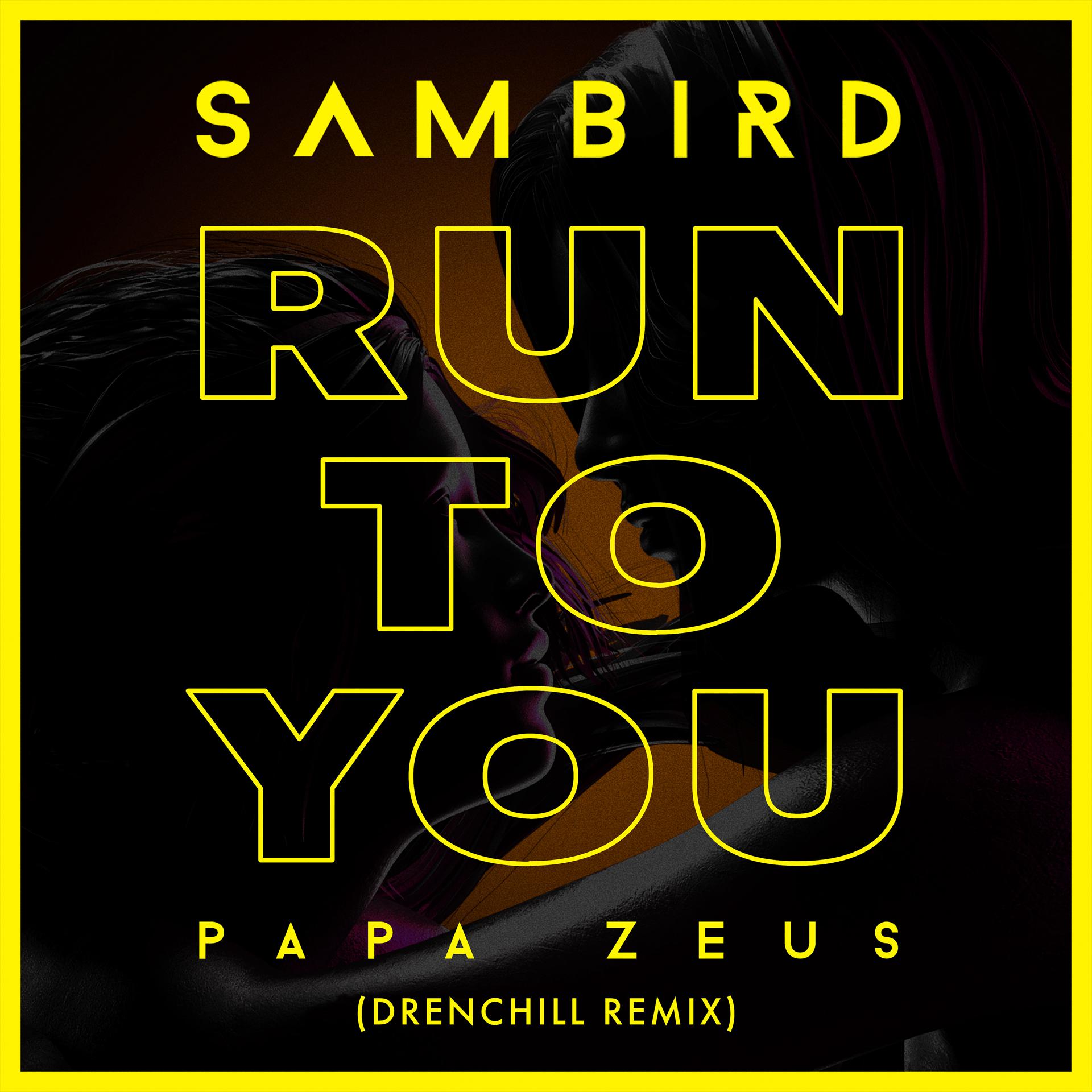Постер альбома Run To You (Drenchill Remix)