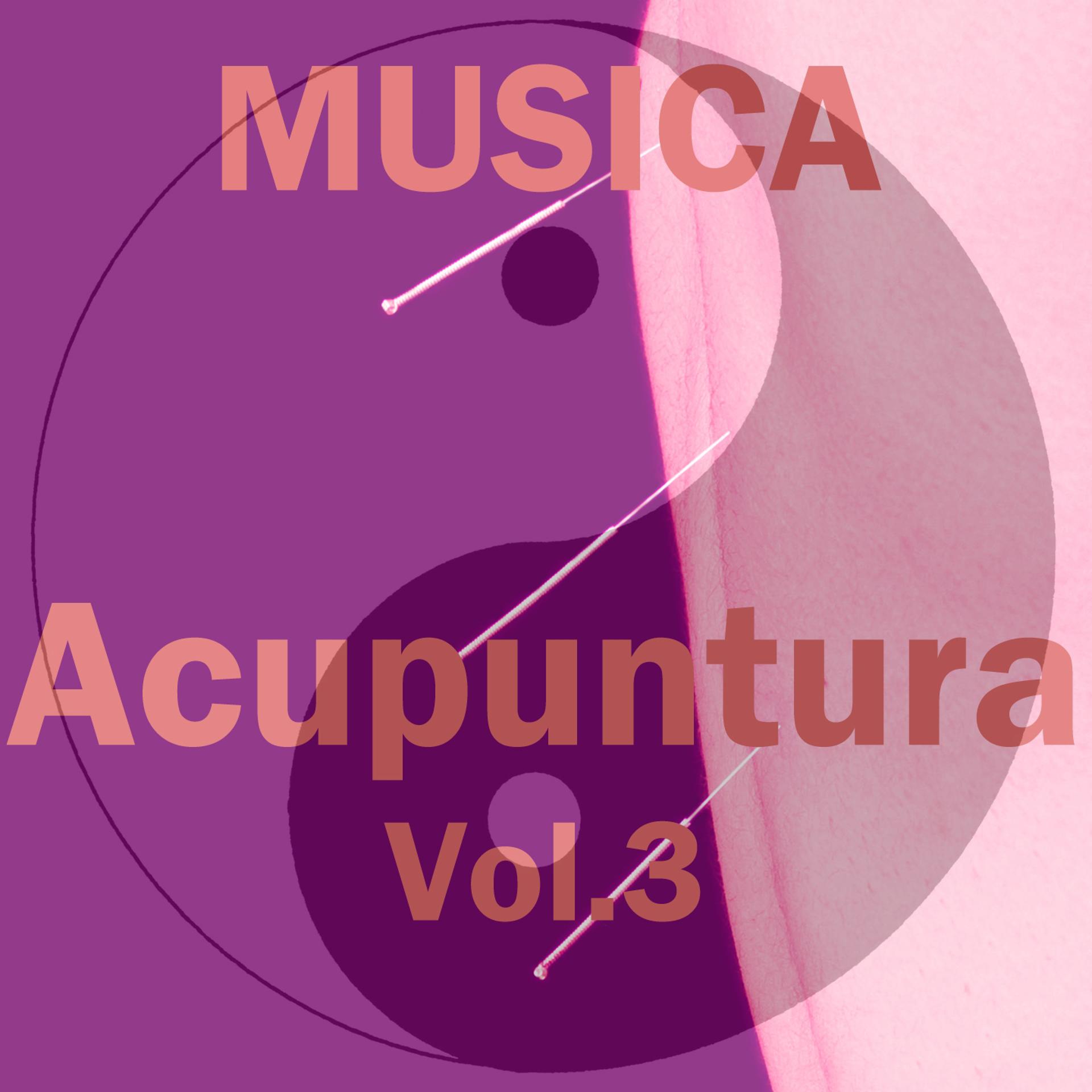 Постер альбома Musica Acupuntura, Vol. 3