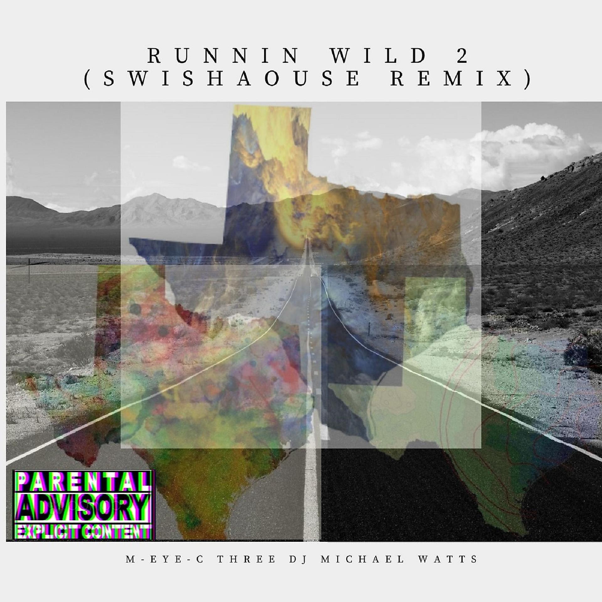 Постер альбома Runnin Wild 2 (Swishaouse Remix)