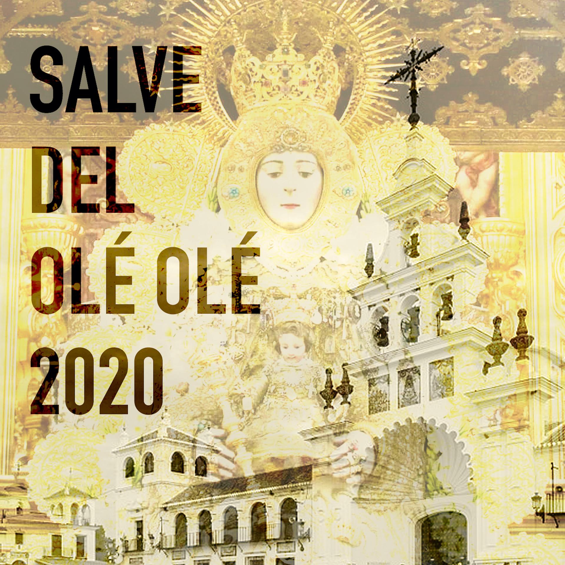 Постер альбома Salve del Olé Olé
