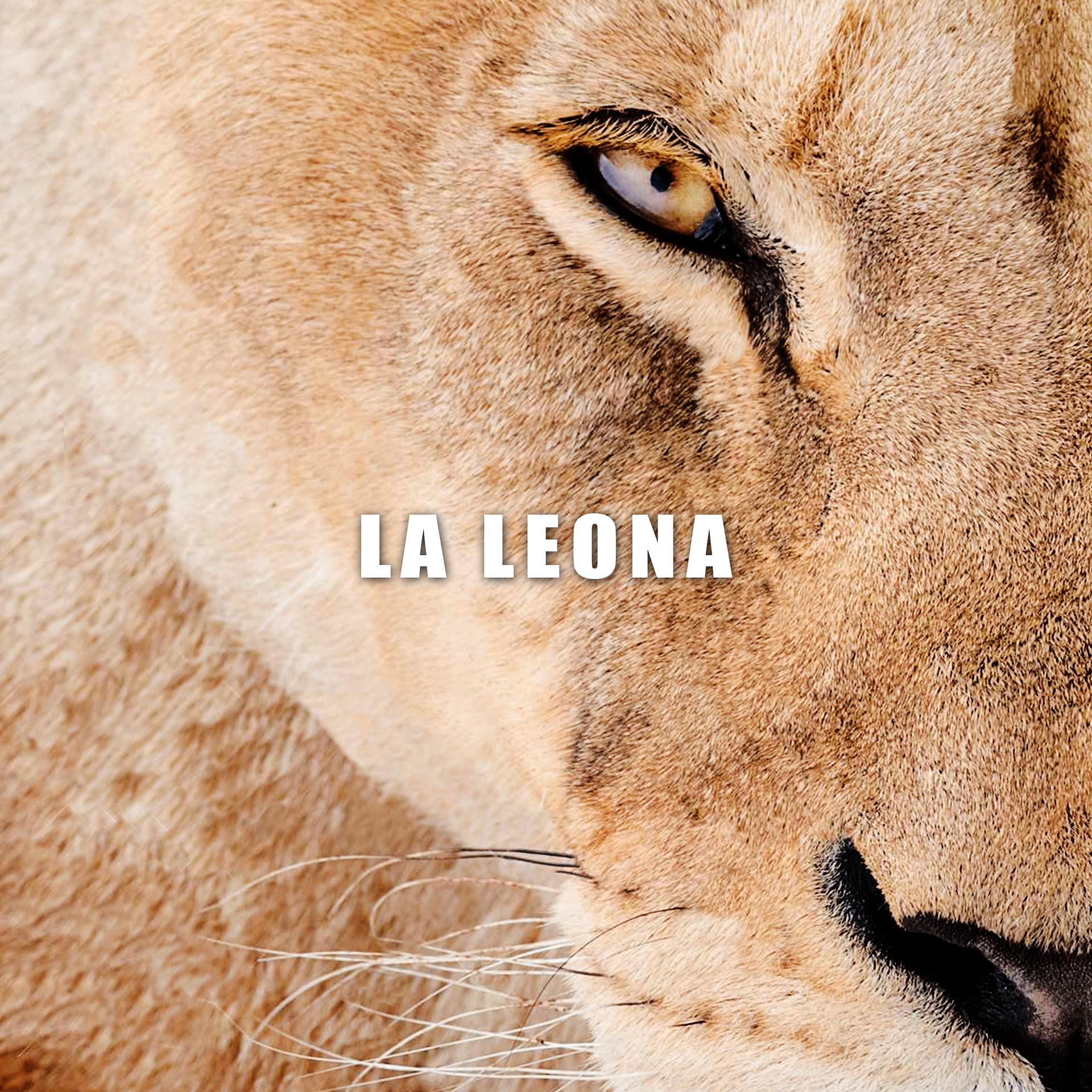 Постер альбома La Leona