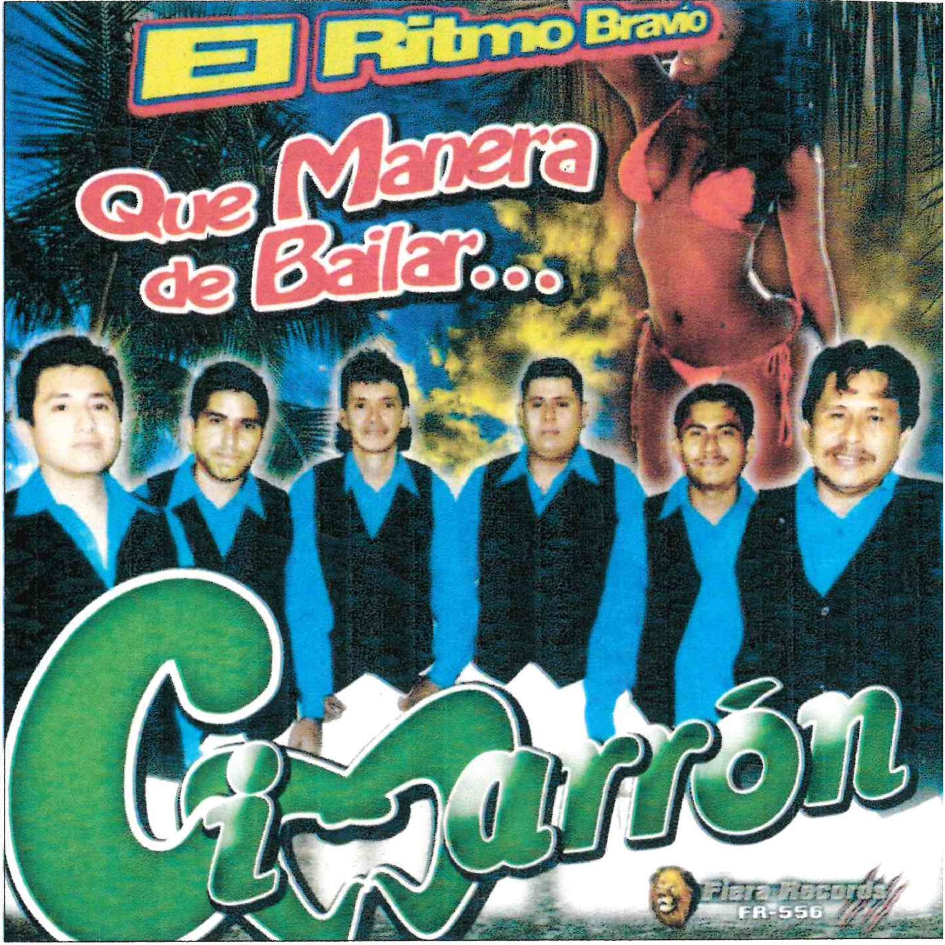 Постер альбома Que Manera de Bailar