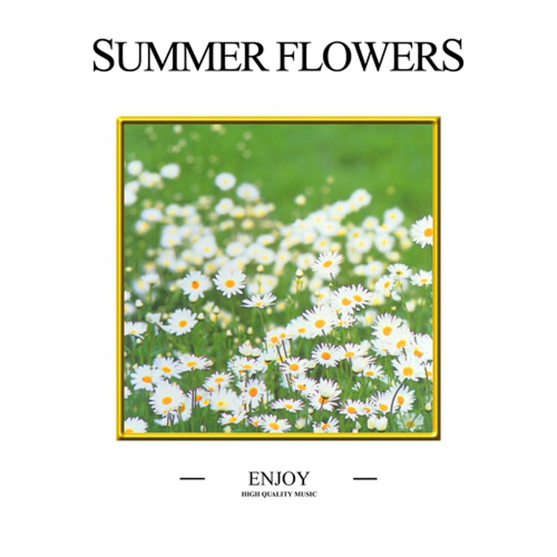 Постер альбома Summer Flowers
