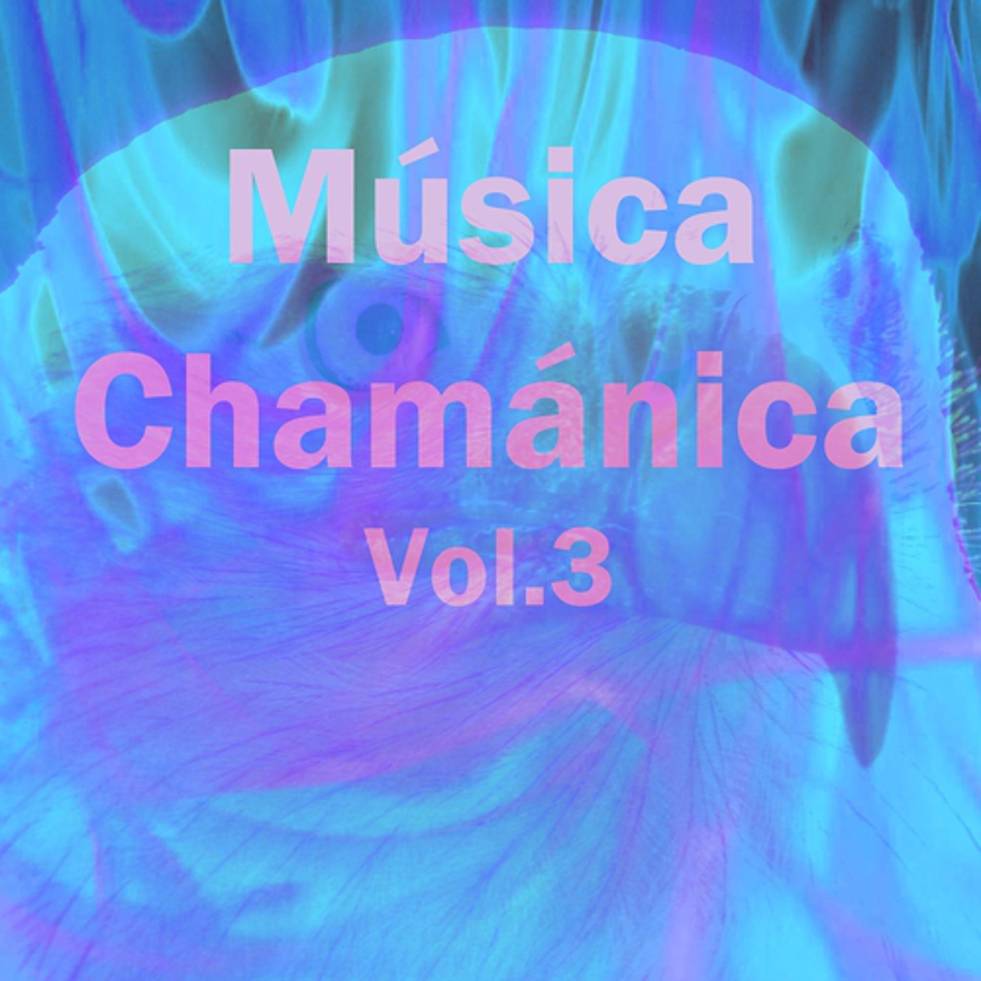 Постер альбома Música Chamánica, Vol. 3