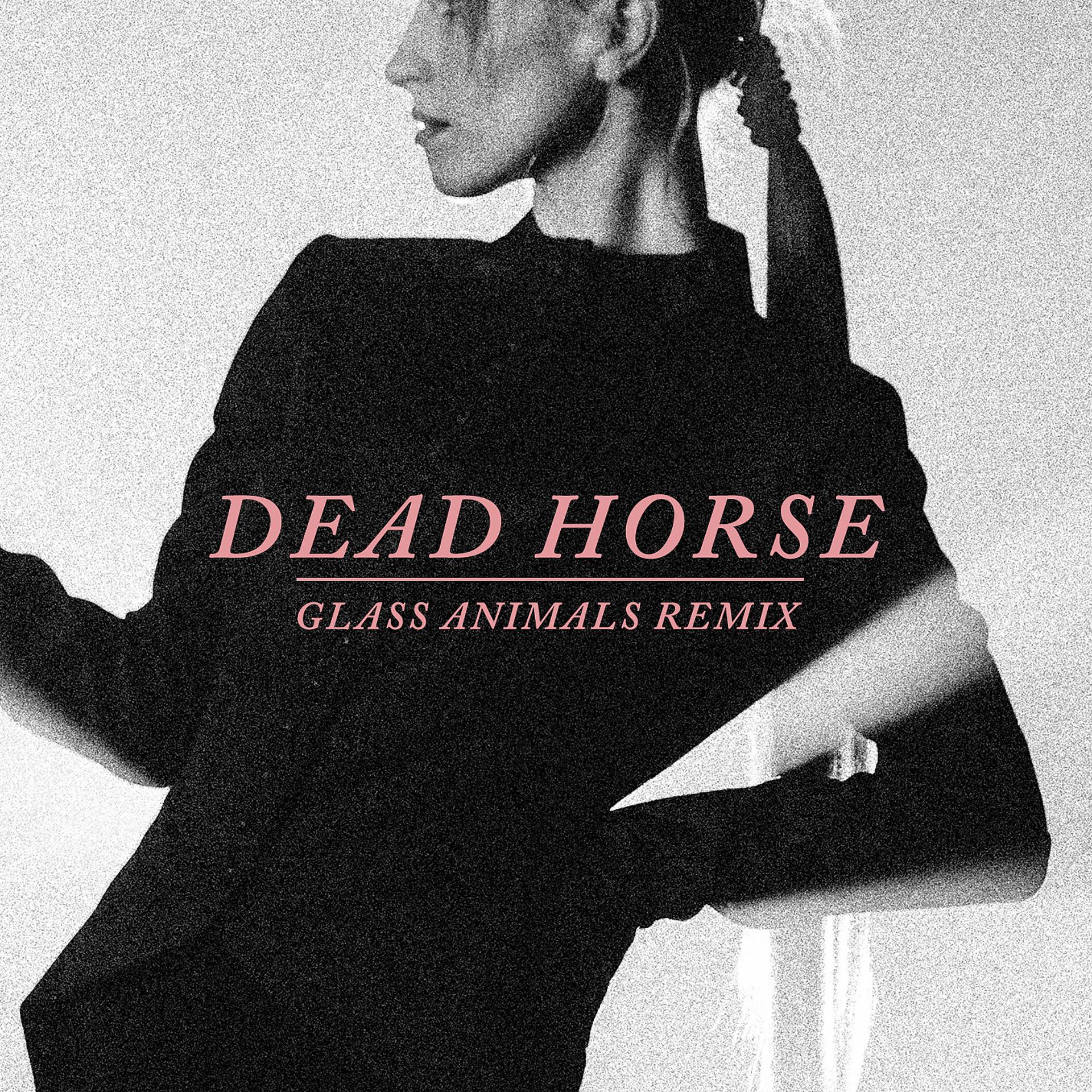 Постер альбома Dead Horse (Glass Animals Remix)