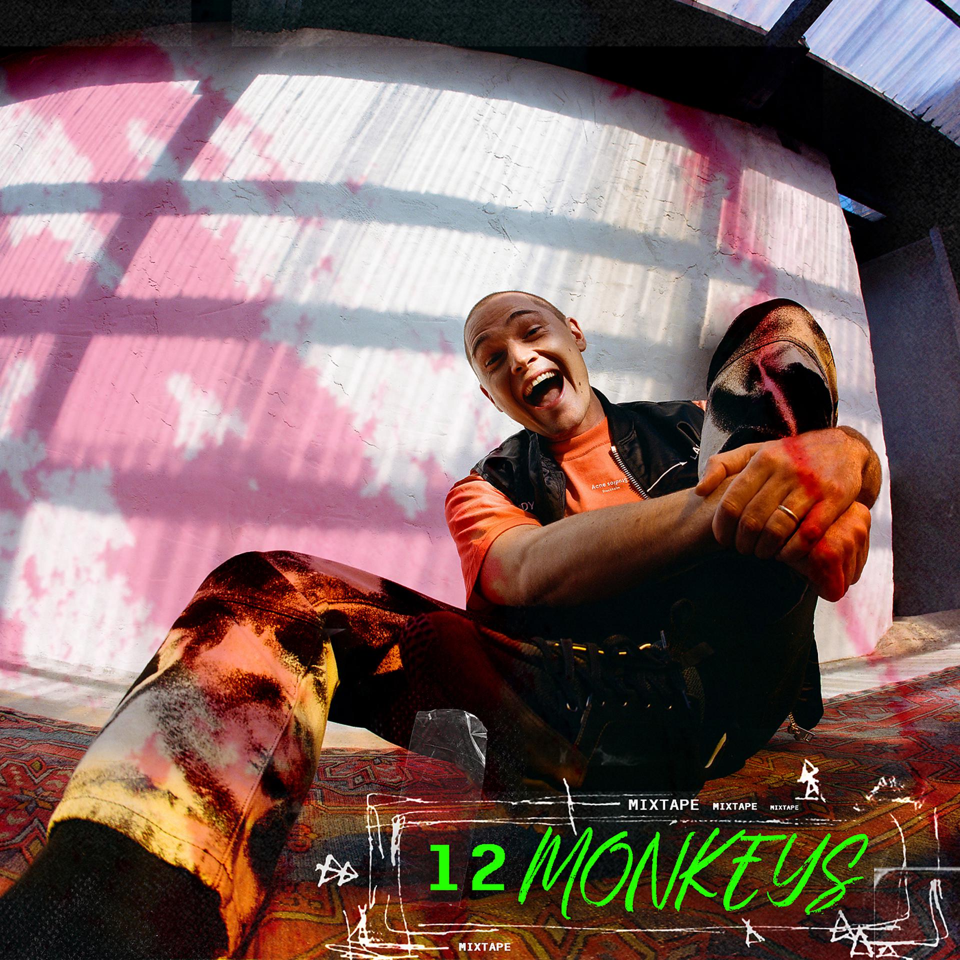 Постер альбома 12 Monkeys Mixtape