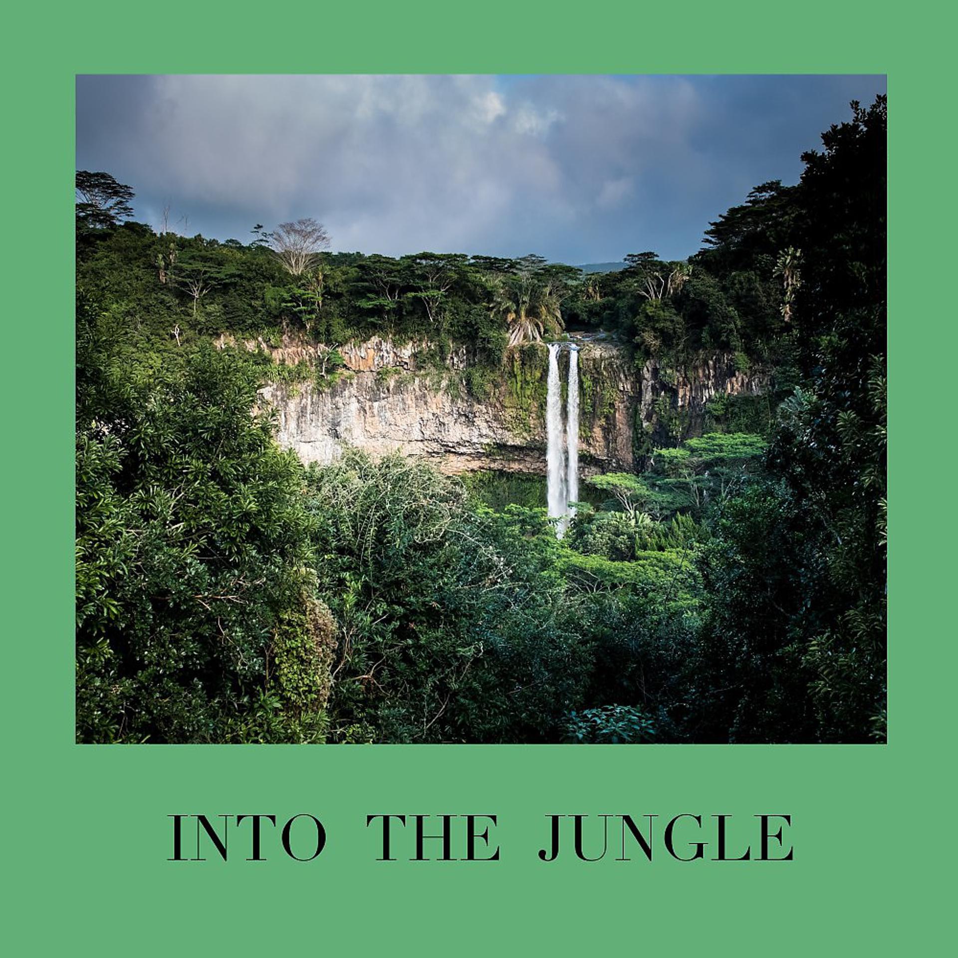 Постер альбома Into the Jungle