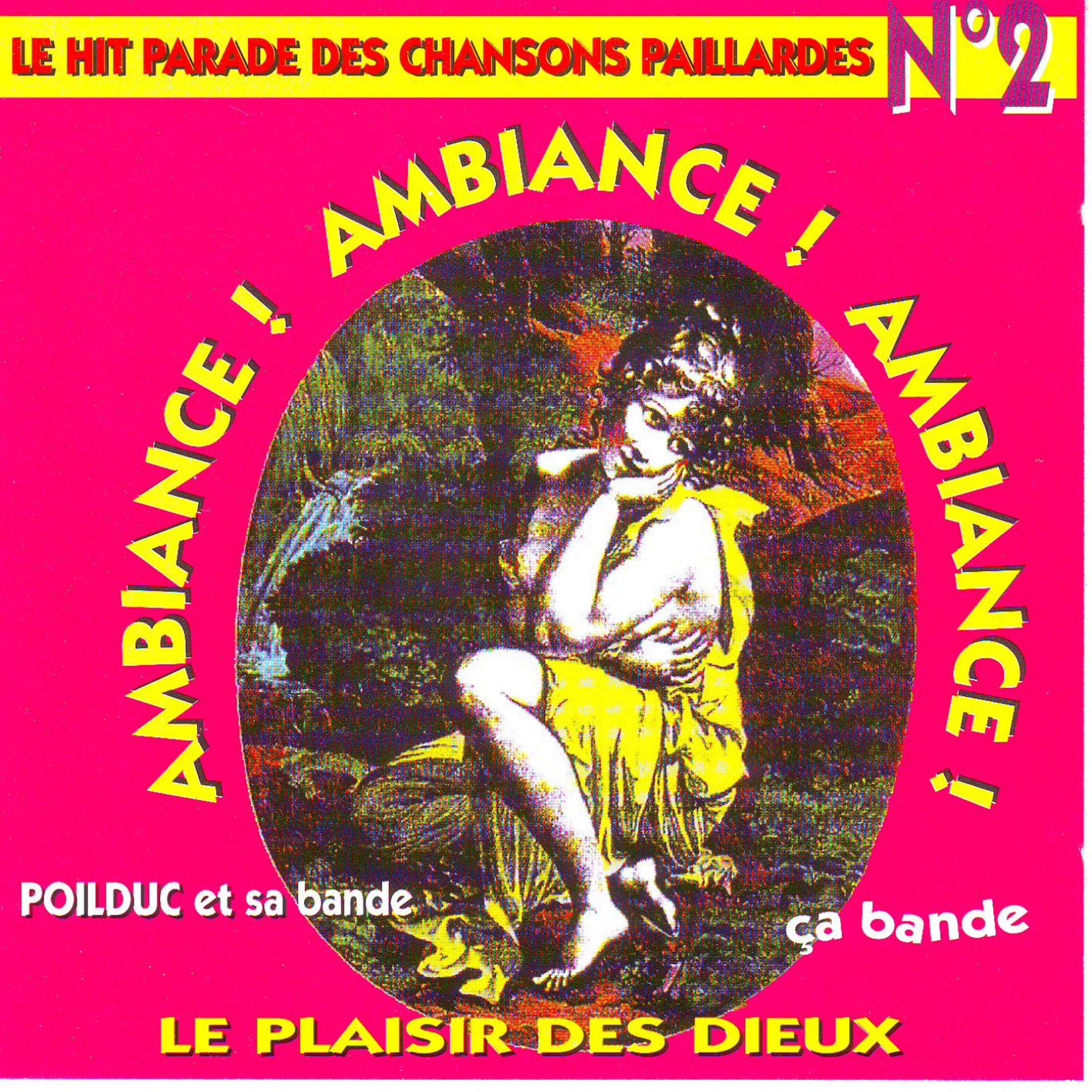Постер альбома Le hit parade des chansons paillardes n° 2