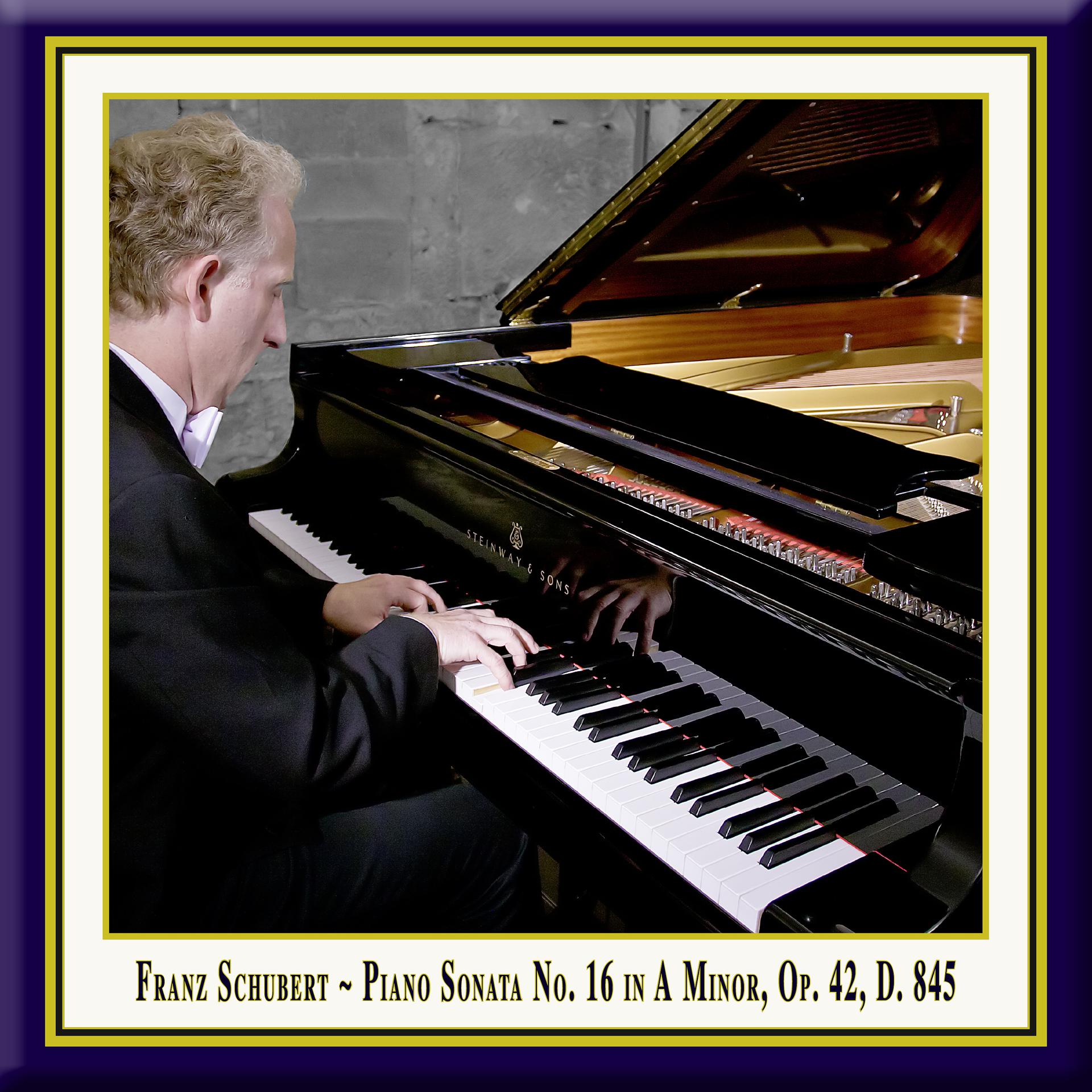 Постер альбома Schubert: Piano Sonata No. 16 in A Minor, Op. 42, D. 845