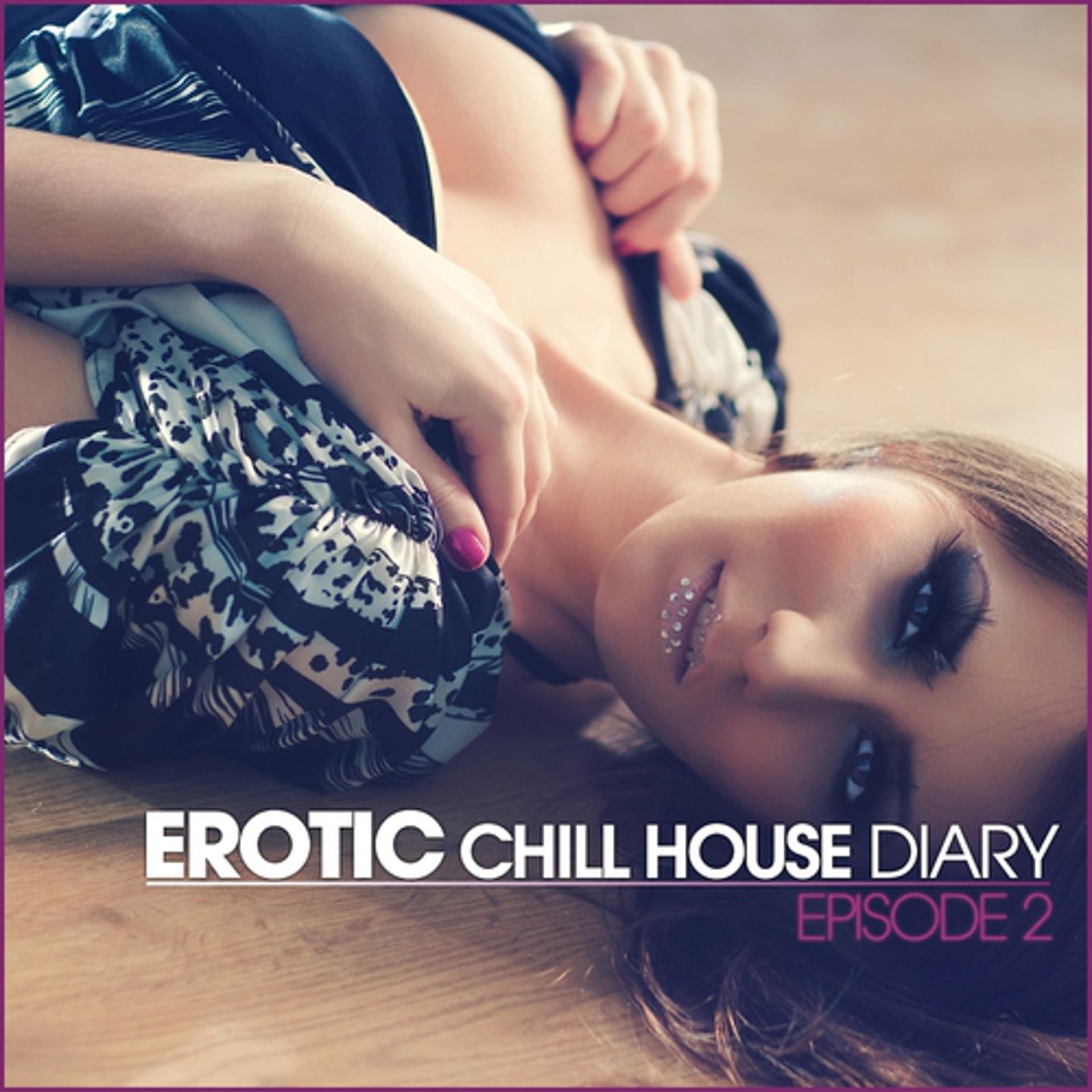 Постер альбома Erotic Chill House Diary