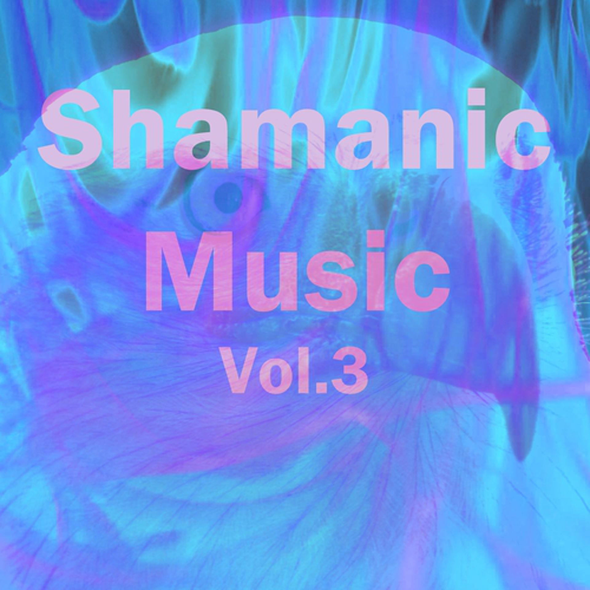 Постер альбома Shamanic Music, Vol. 3