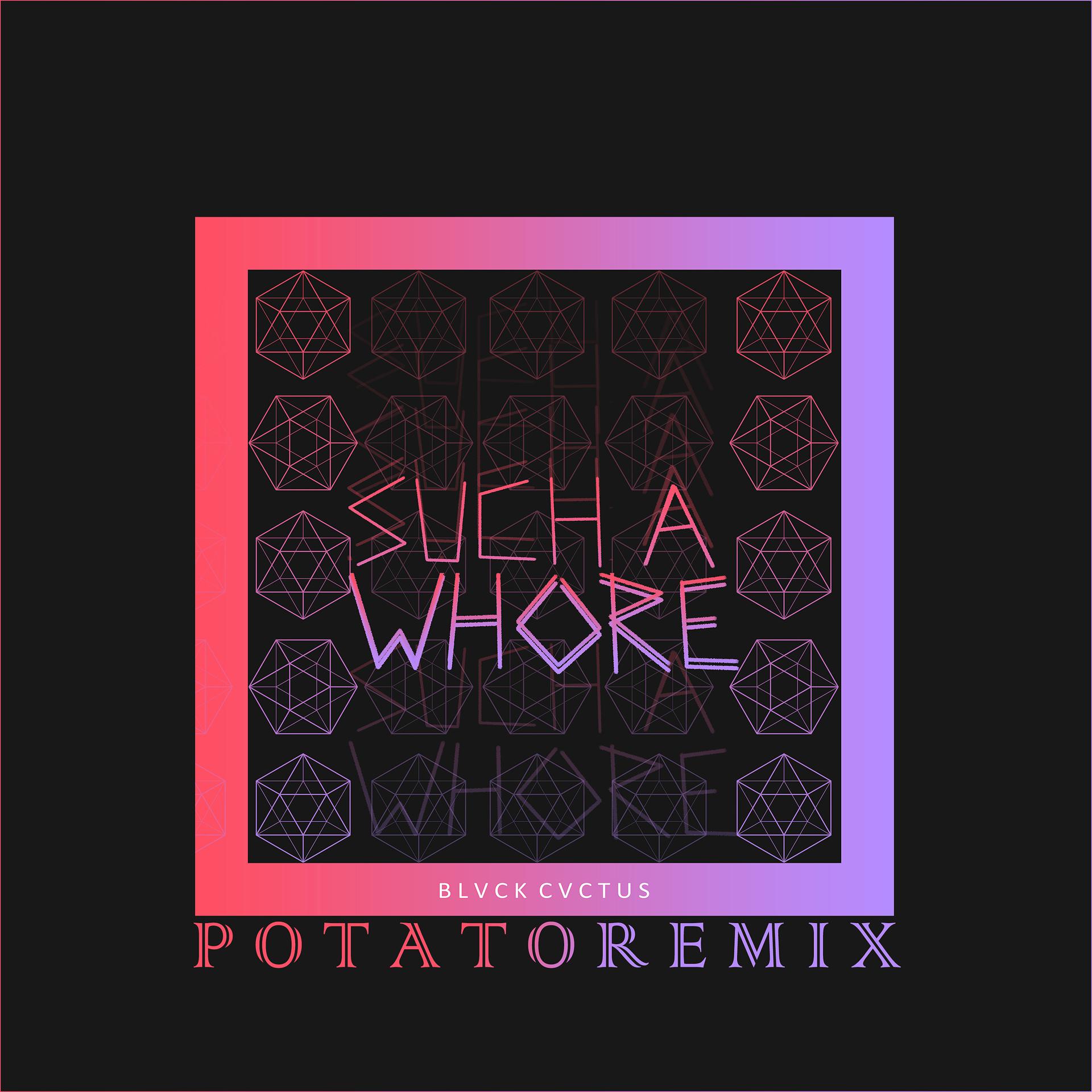 Постер альбома Such a Whore (Potato Remix)