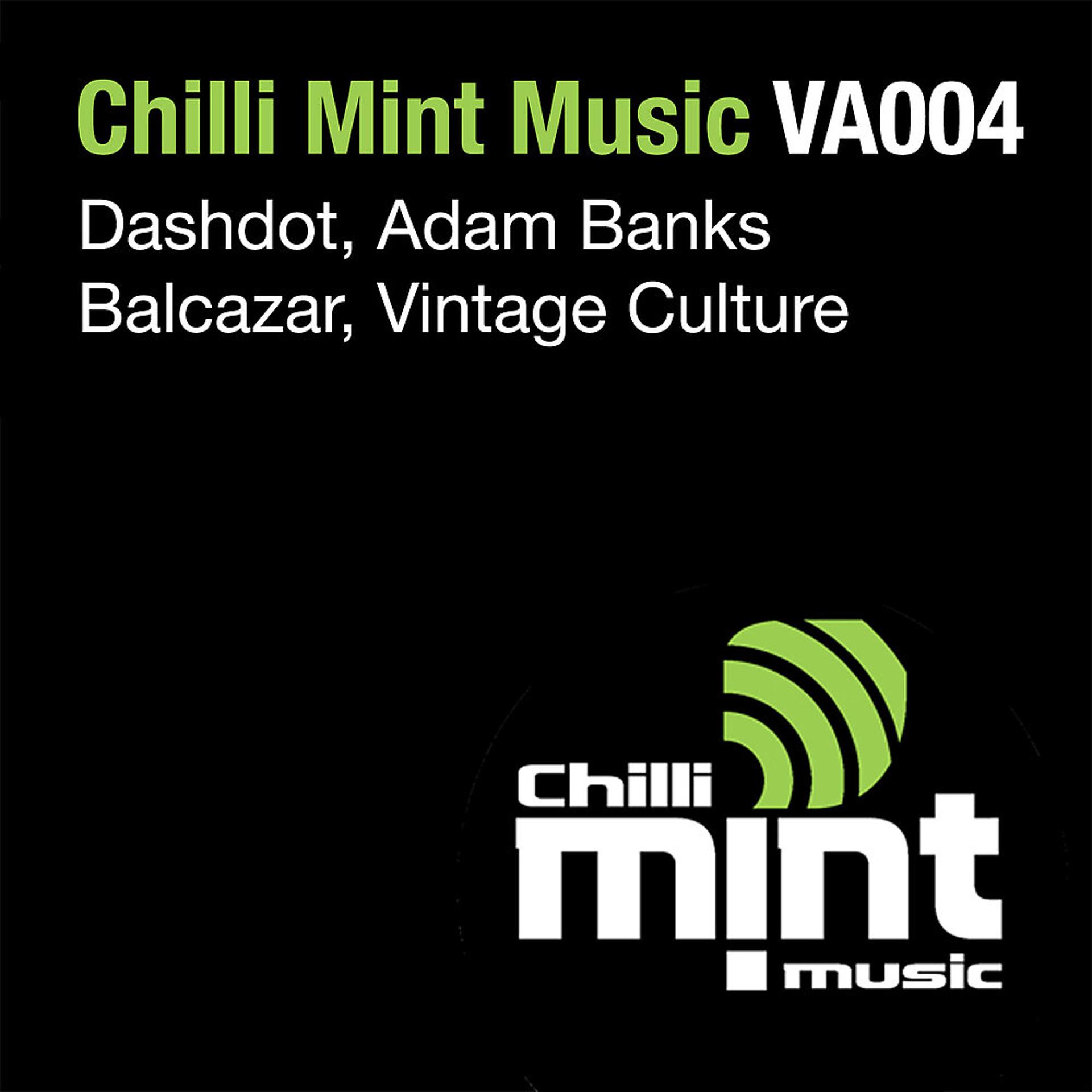 Постер альбома Chilli Mint Music VA004
