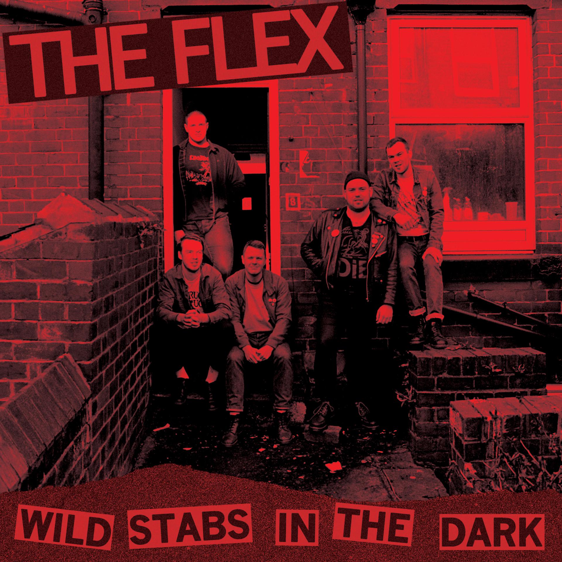 Постер альбома Wild Stabs in the Dark