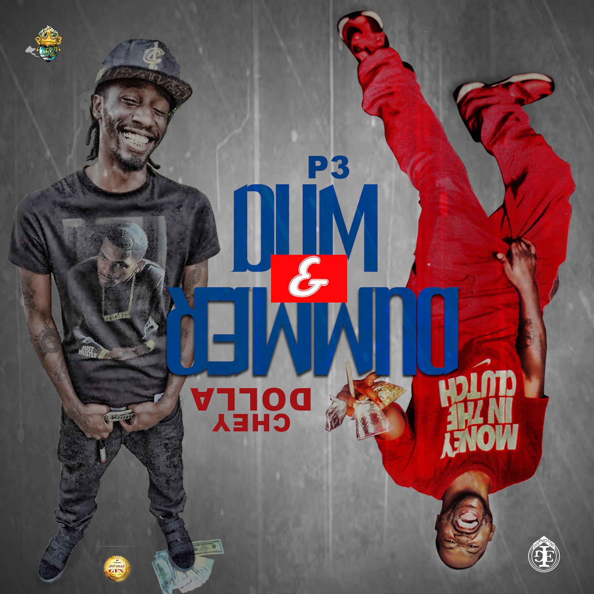 Постер альбома Dum & Dummer