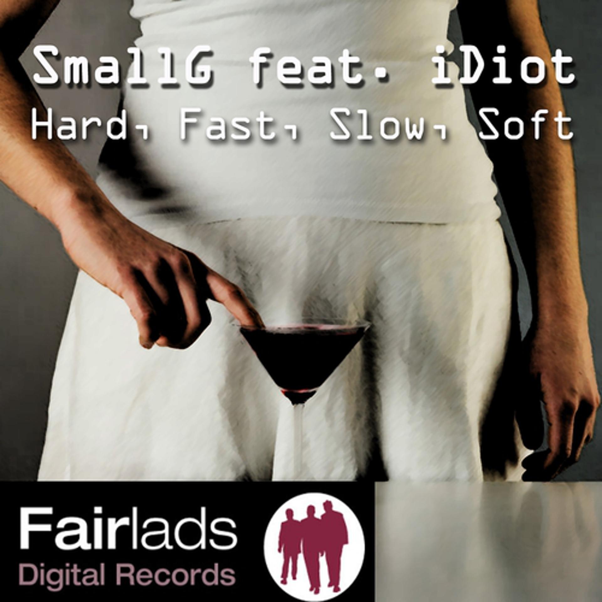 Постер альбома Hard, Fast, Slow, Soft (featuring Idiot)