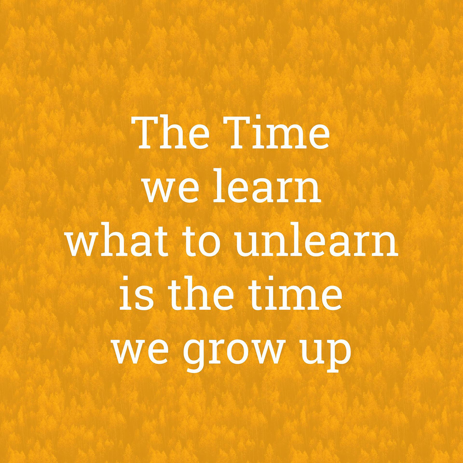 Постер альбома The Time We Learn What to Unlearn Is the Time We Grow Up