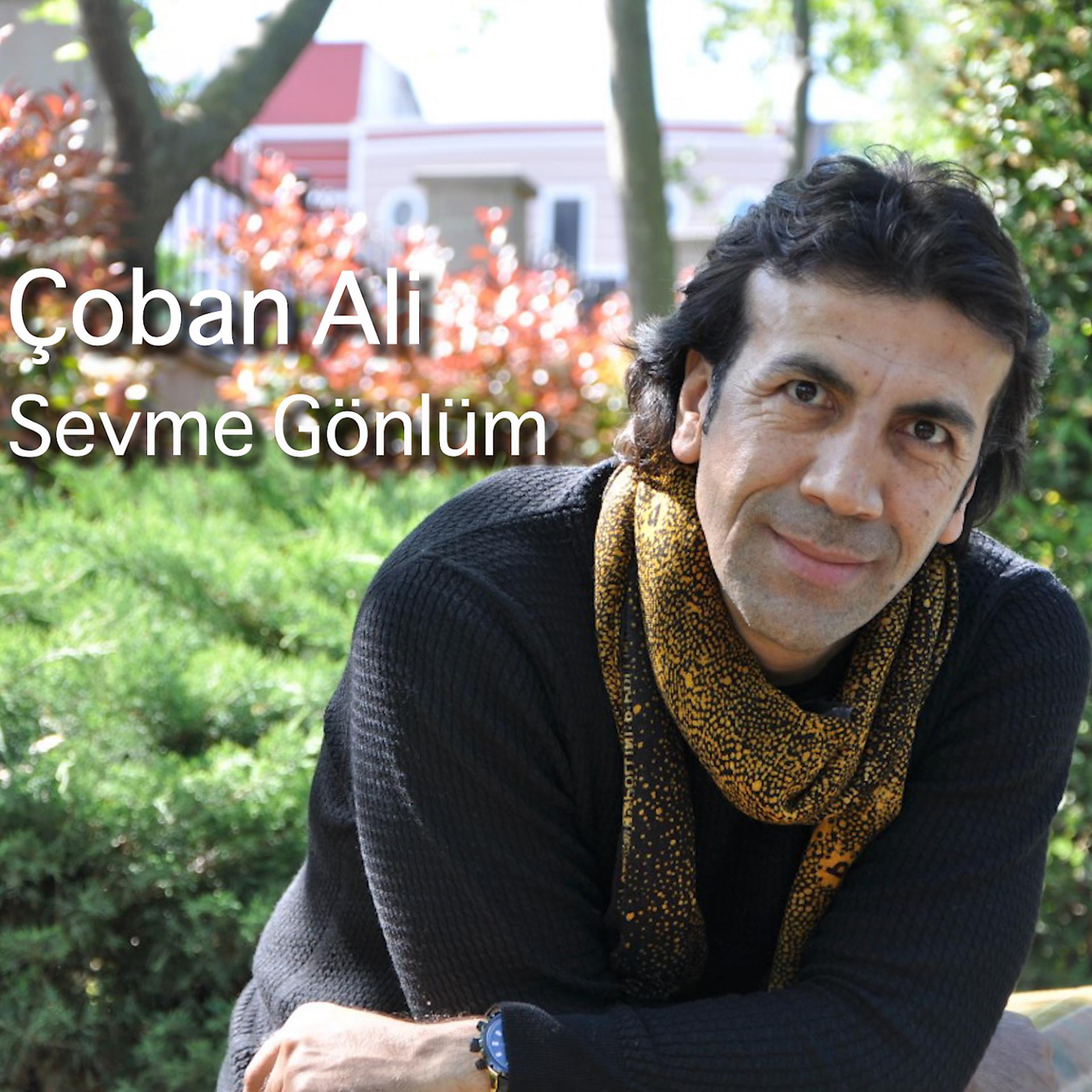 Постер альбома Sevme Gönlüm
