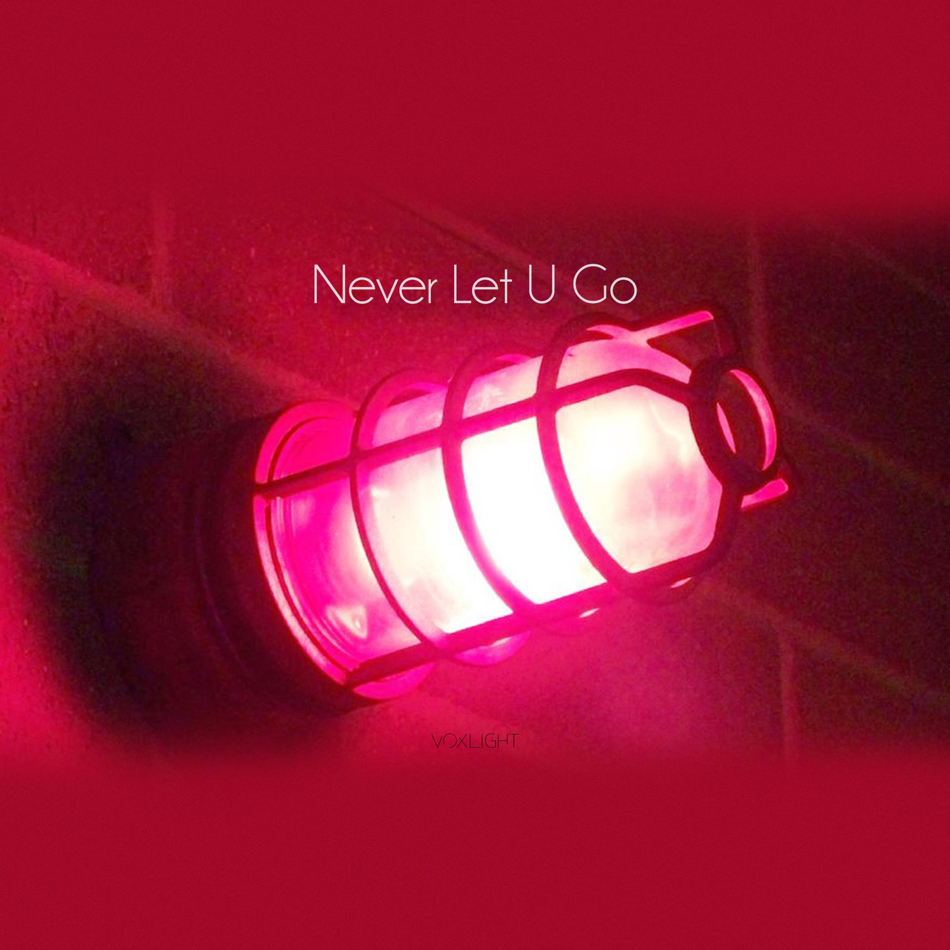 Постер альбома Never Let U Go