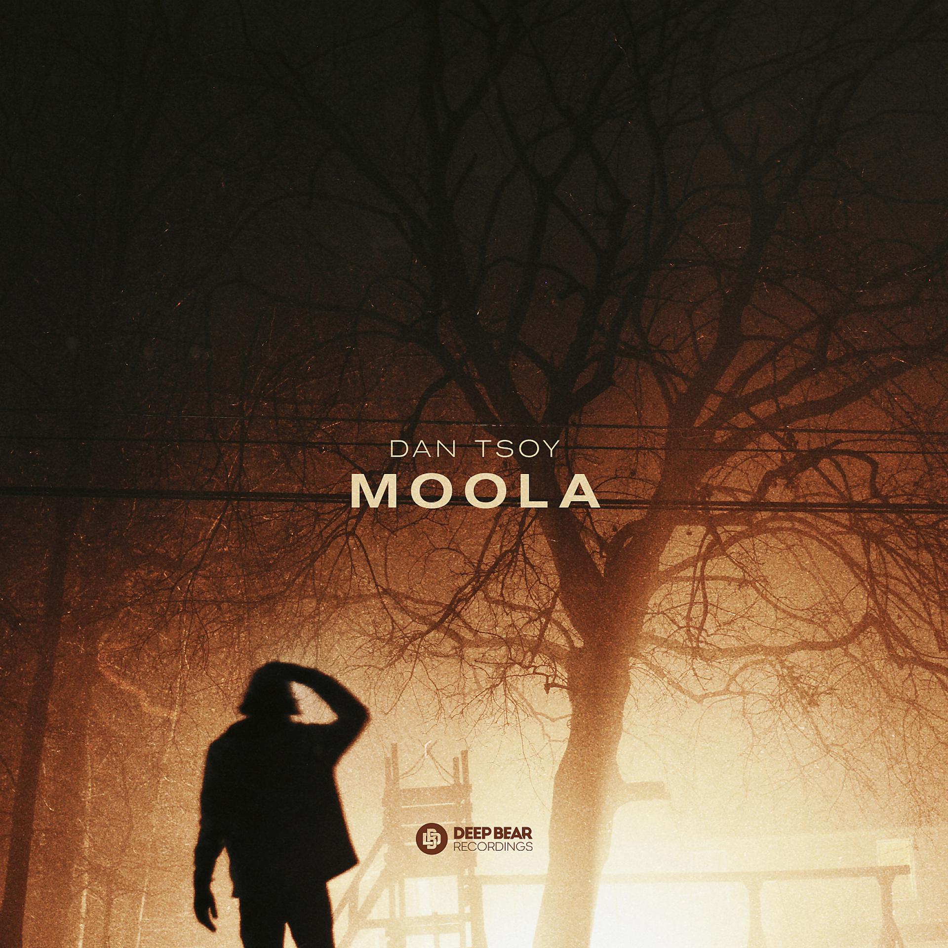 Постер альбома Moola