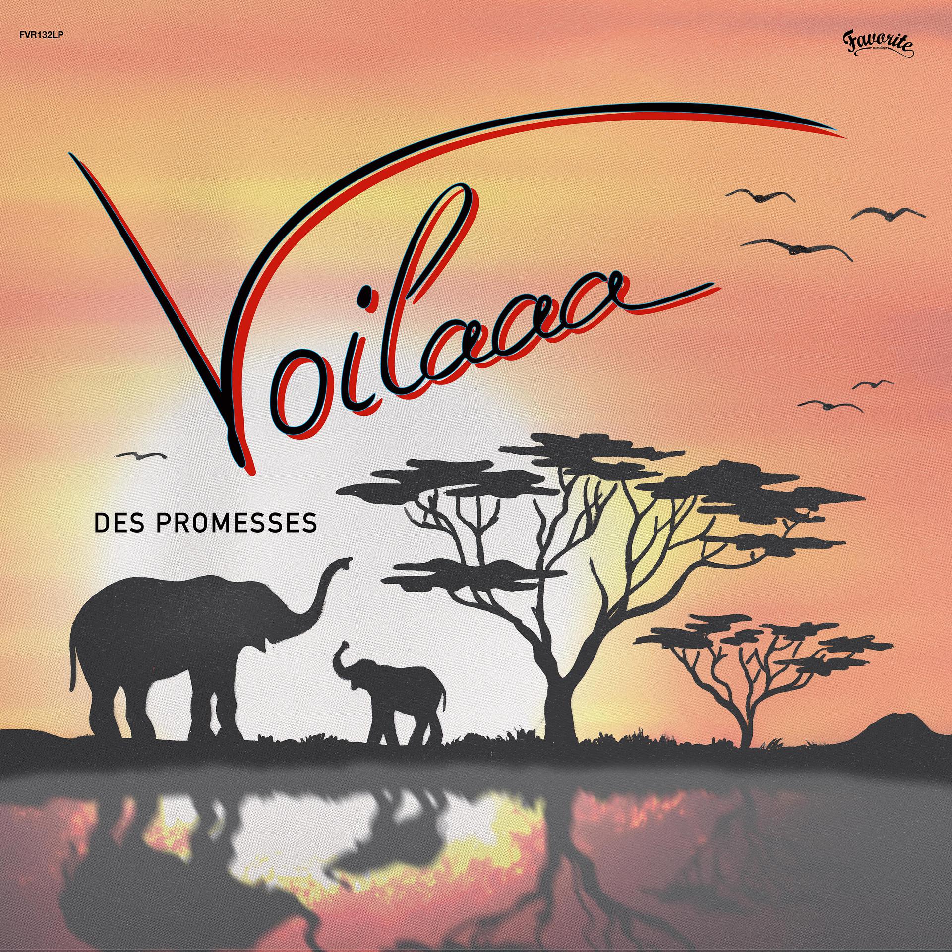 Постер альбома Des Promesses