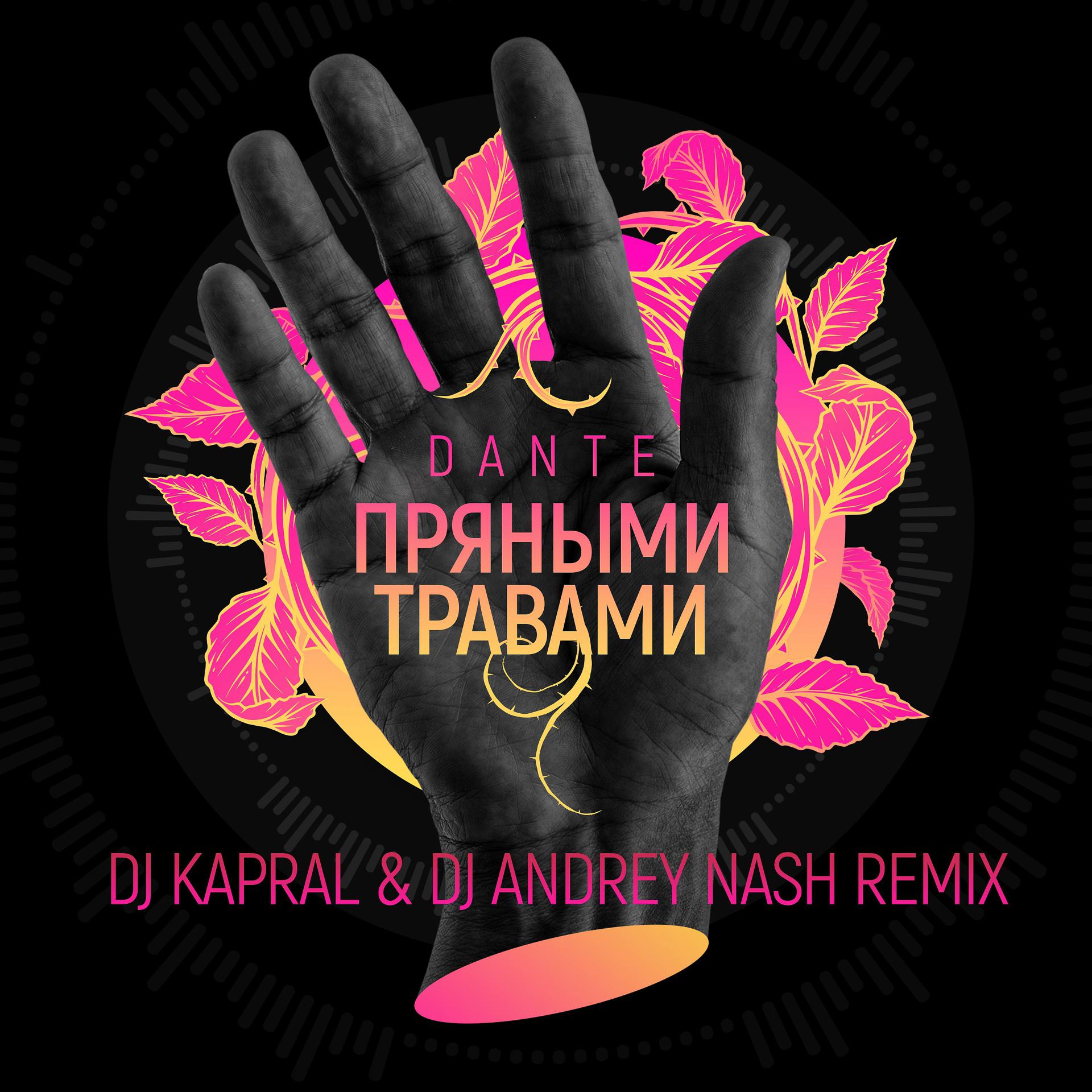 Постер альбома Пряными травами (DJ Kapral & DJ Andrey Nash Remix)