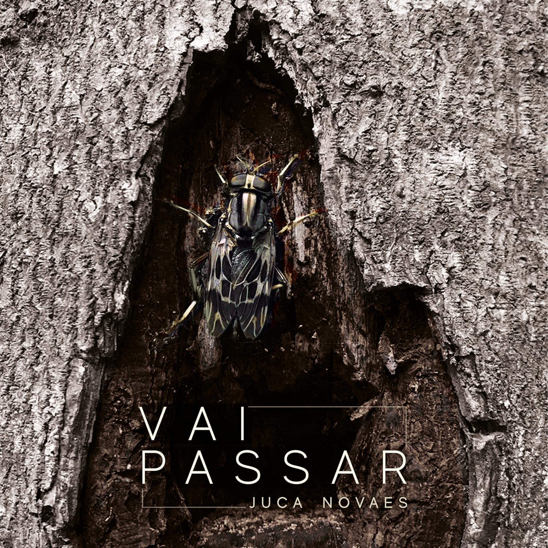Постер альбома Vai Passar