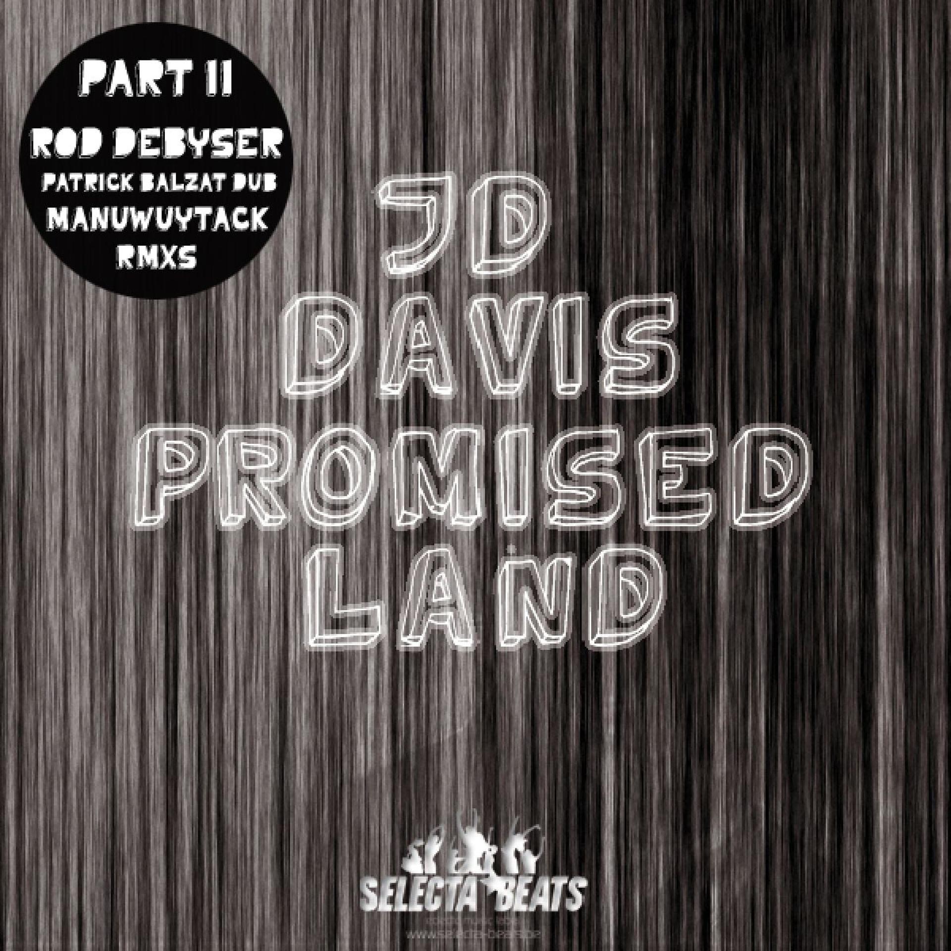 Постер альбома Promised Land (Pt. Two)