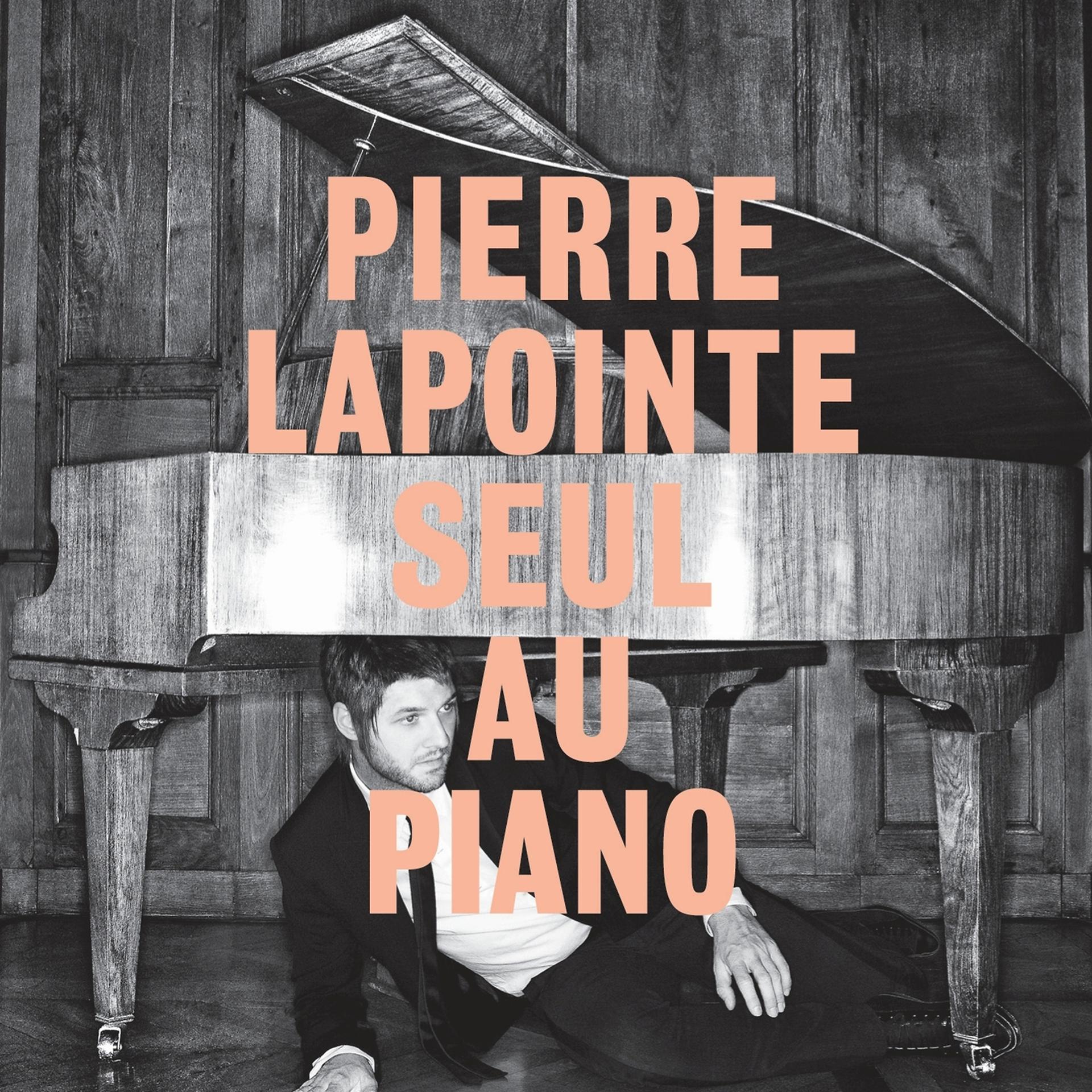 Постер альбома Seul au piano