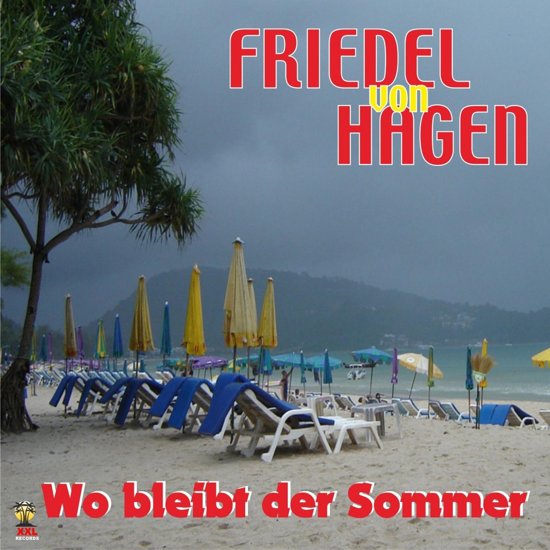 Постер альбома Wo bleibt der Sommer