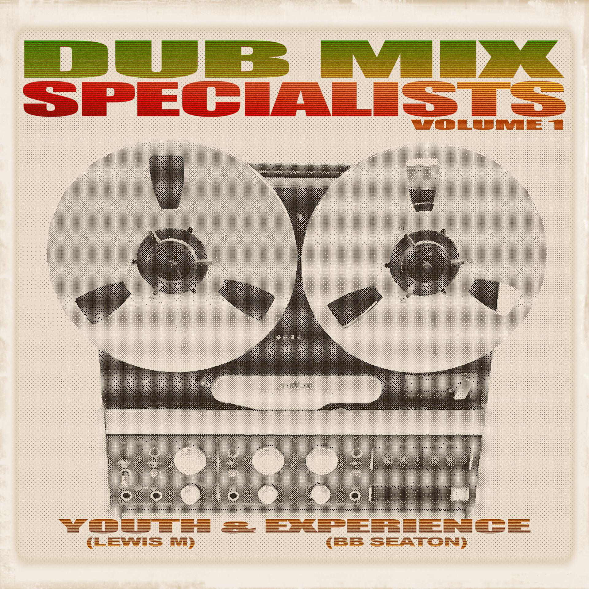 Постер альбома Dub Mix Specialists