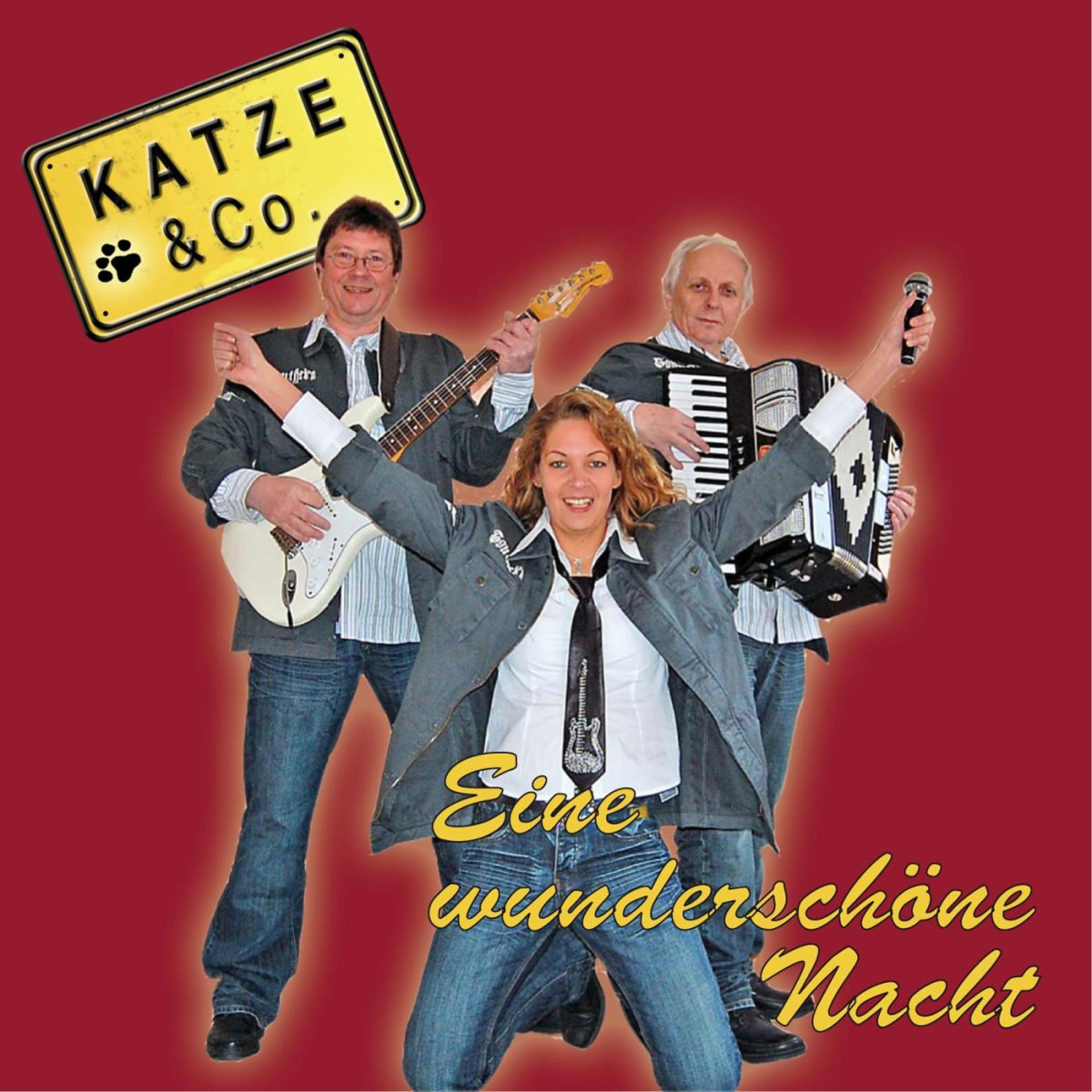 Постер альбома Eine Wunderschöne Nacht