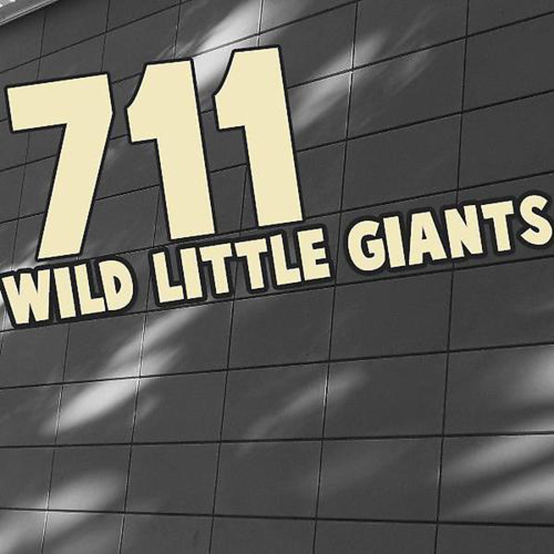 Постер альбома Wild Little Giants